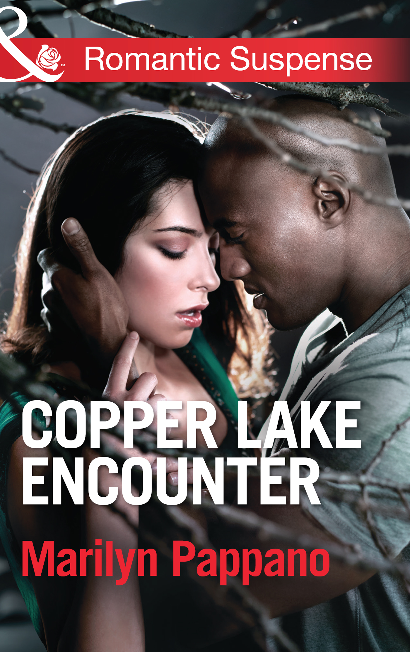Обложка книги «Copper Lake Encounter»