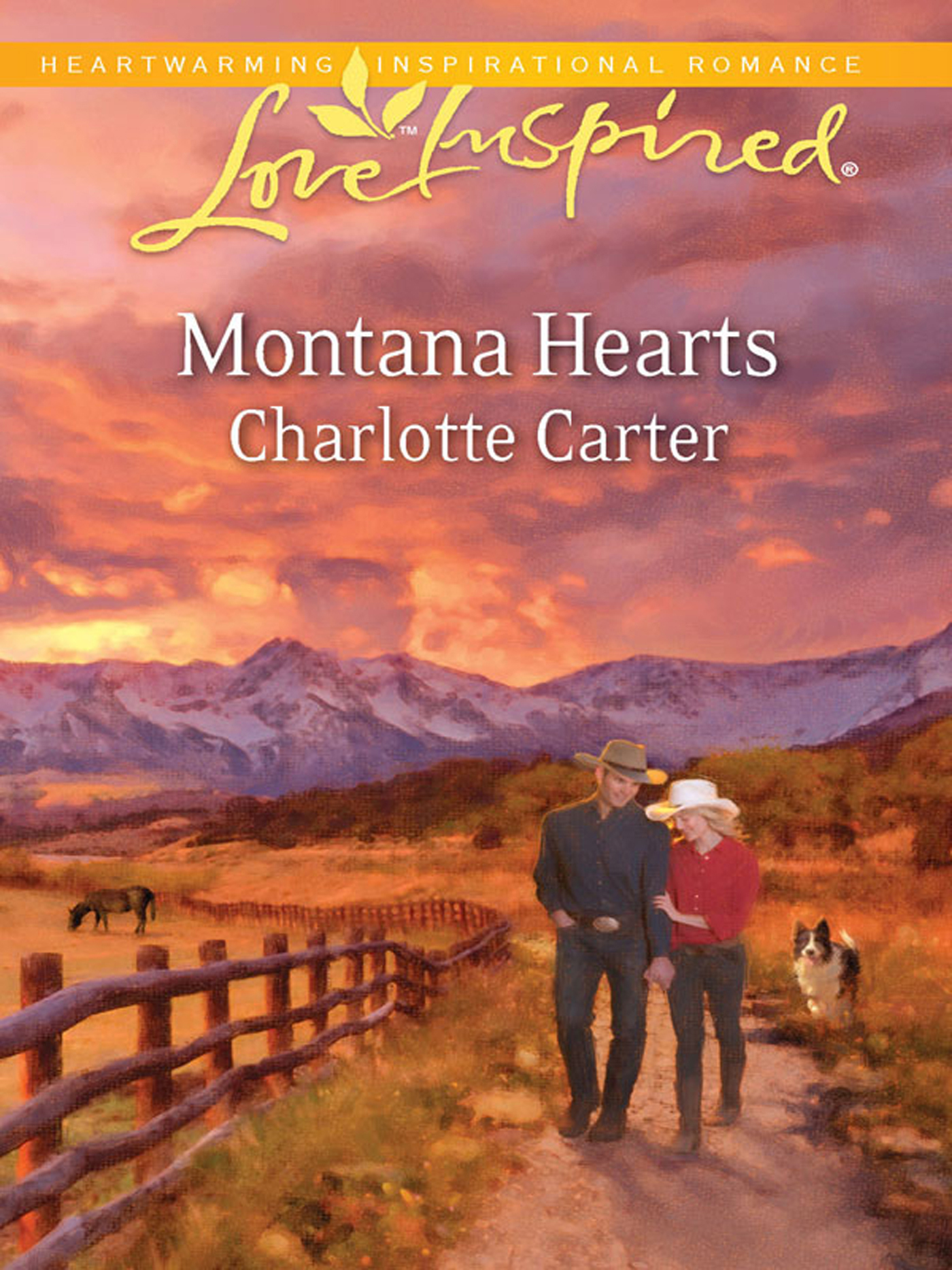 Обложка книги «Montana Hearts»