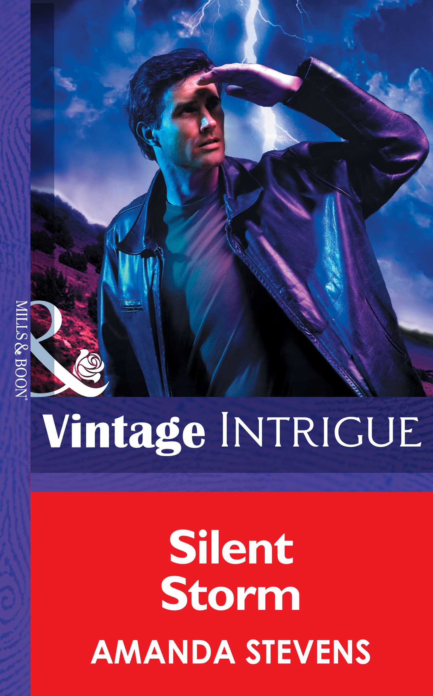 Обложка книги «Silent Storm»
