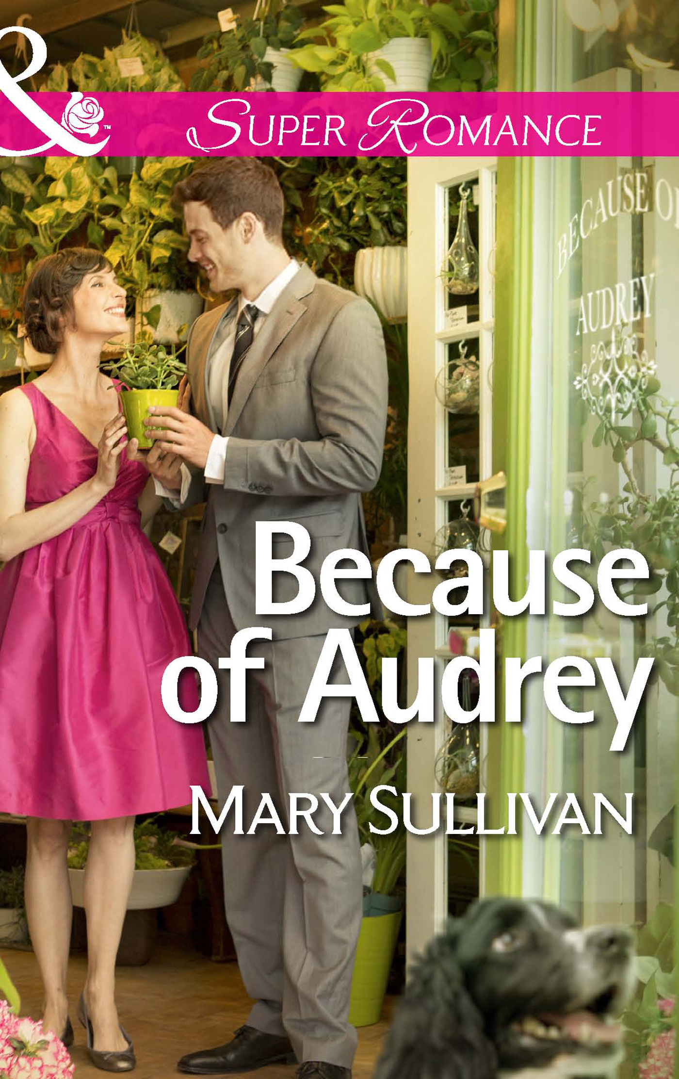 Обложка книги «Because of Audrey»