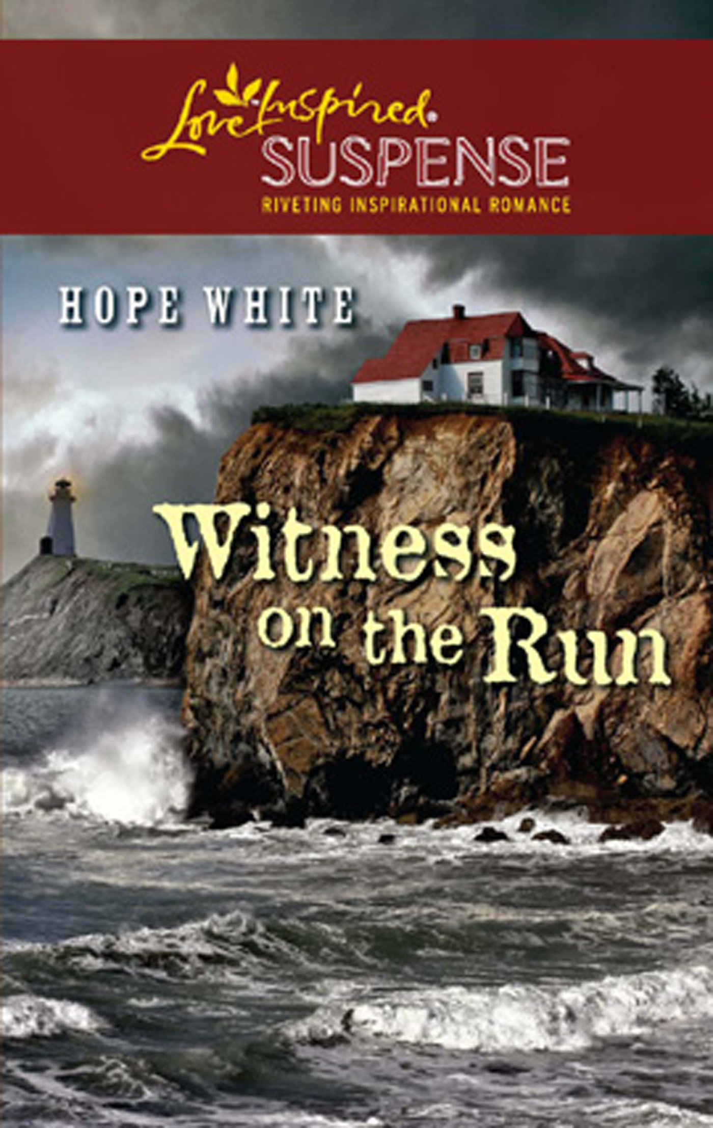 Обложка книги «Witness on the Run»