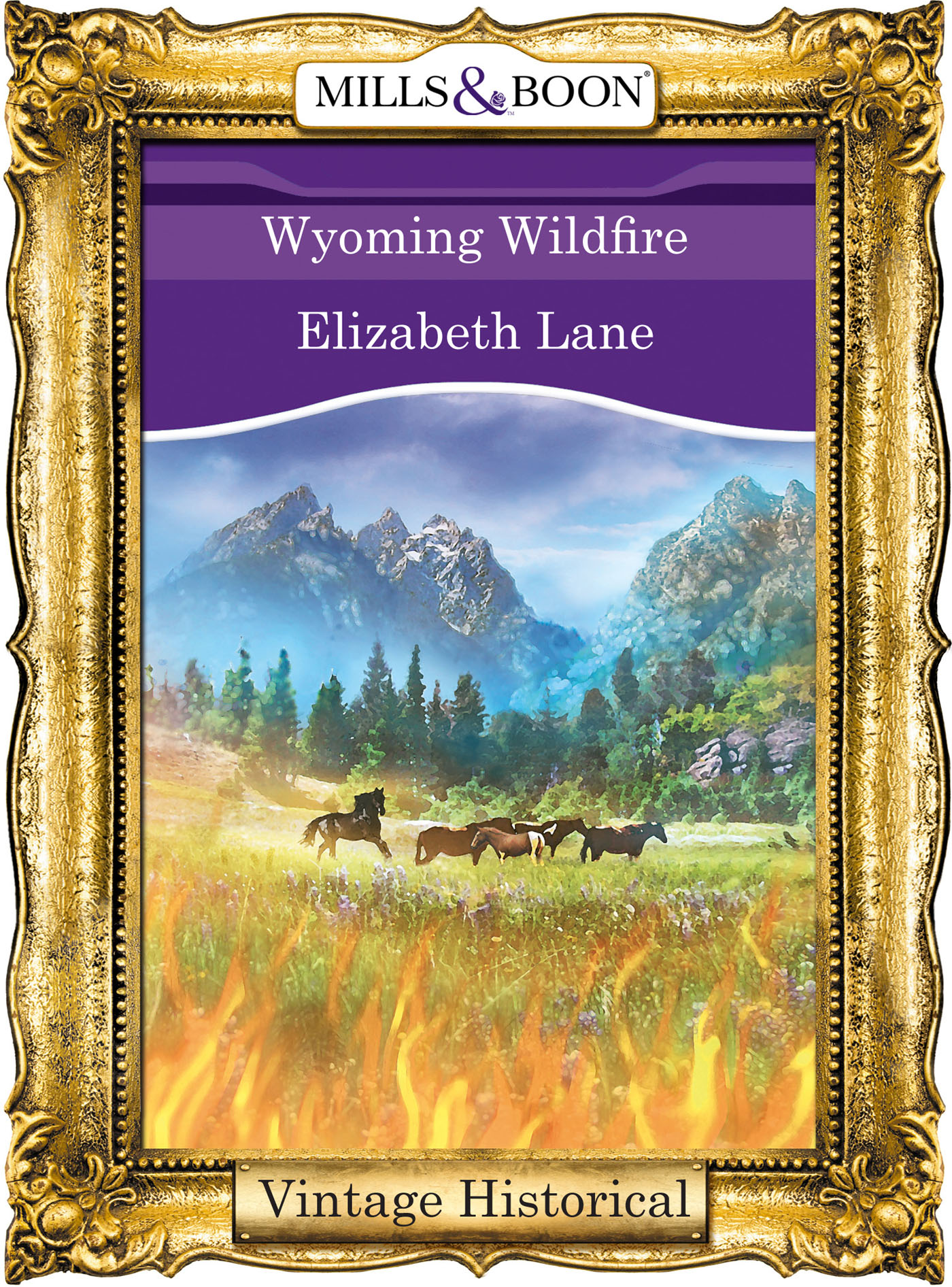 Обложка книги «Wyoming Wildfire»