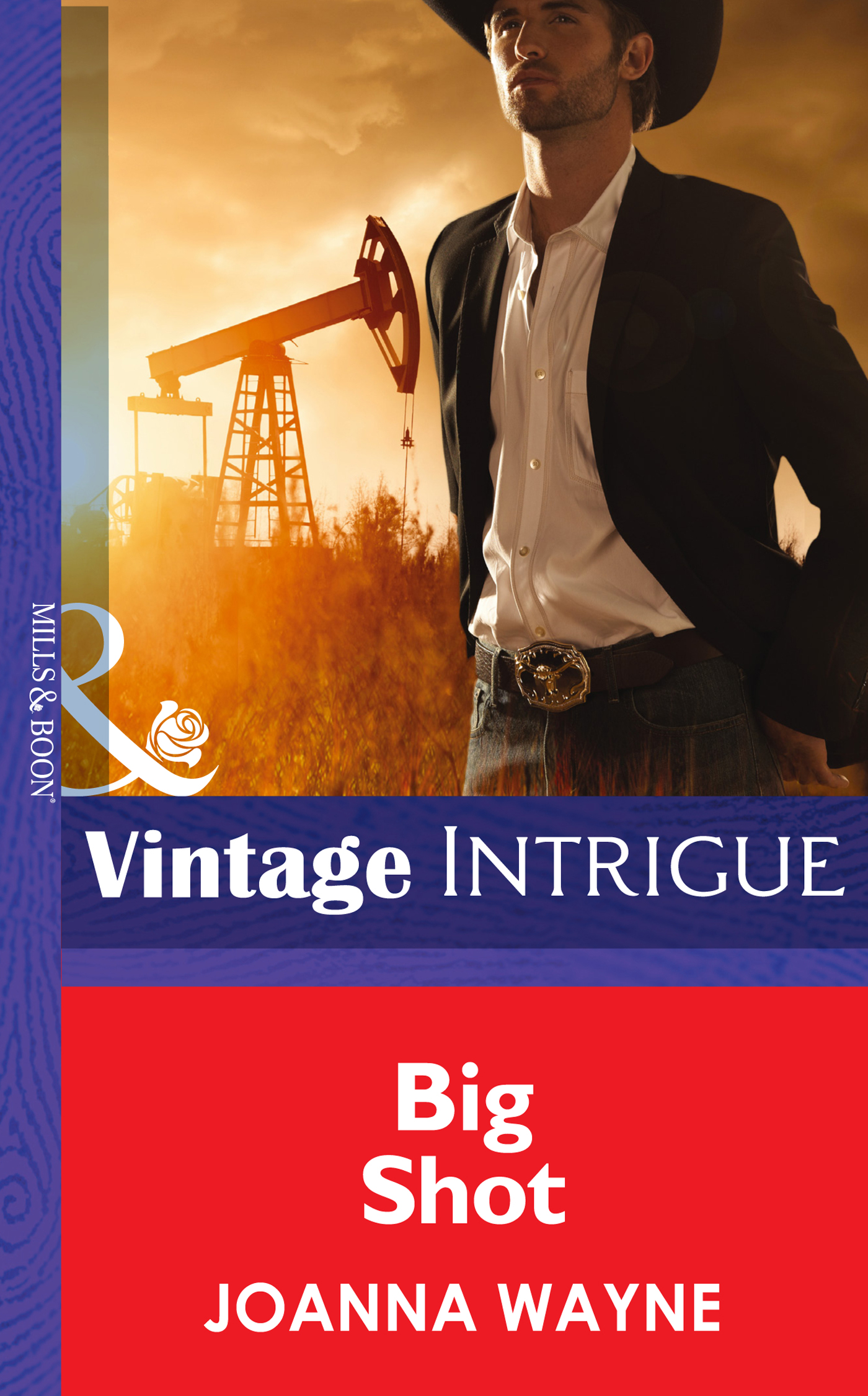 Обложка книги «Big Shot»