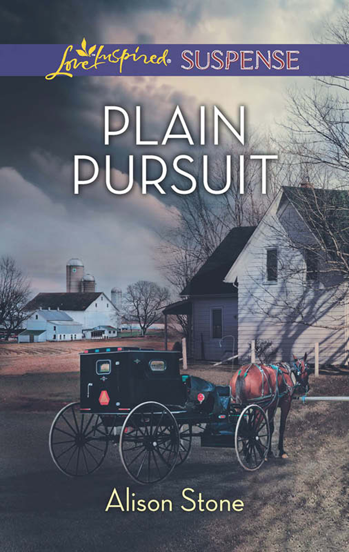 Обложка книги «Plain Pursuit»