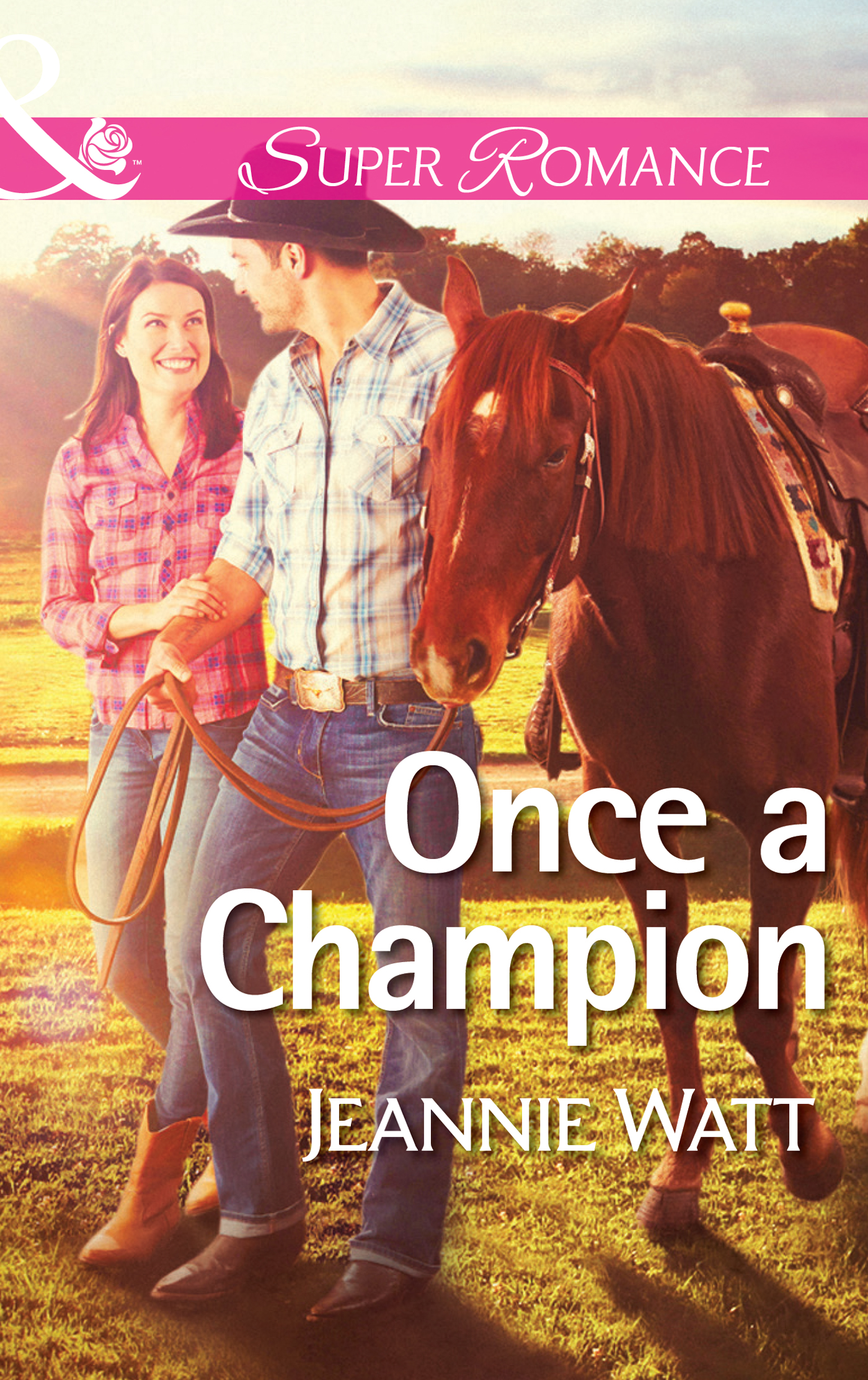 Обложка книги «Once a Champion»