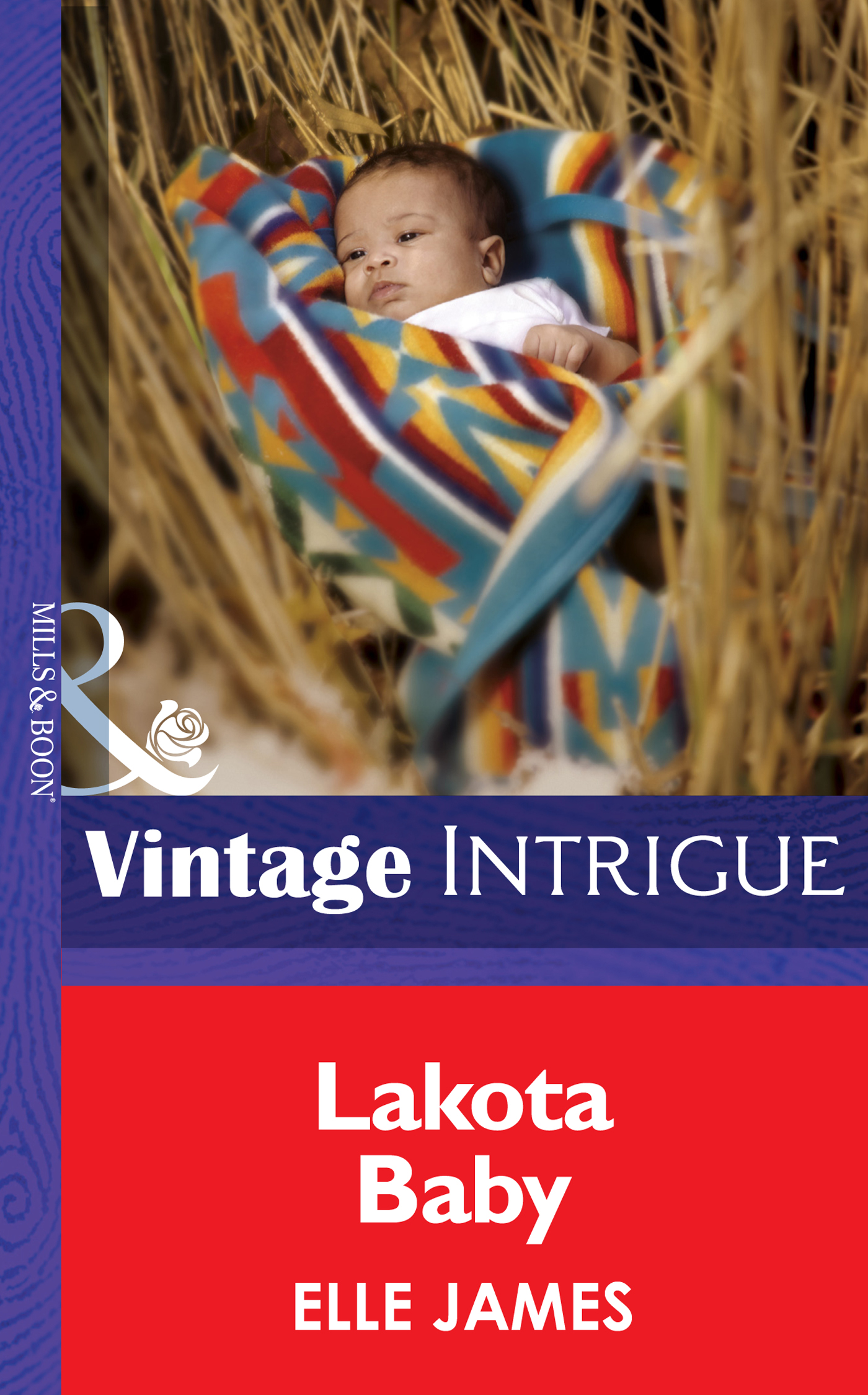 Обложка книги «Lakota Baby»