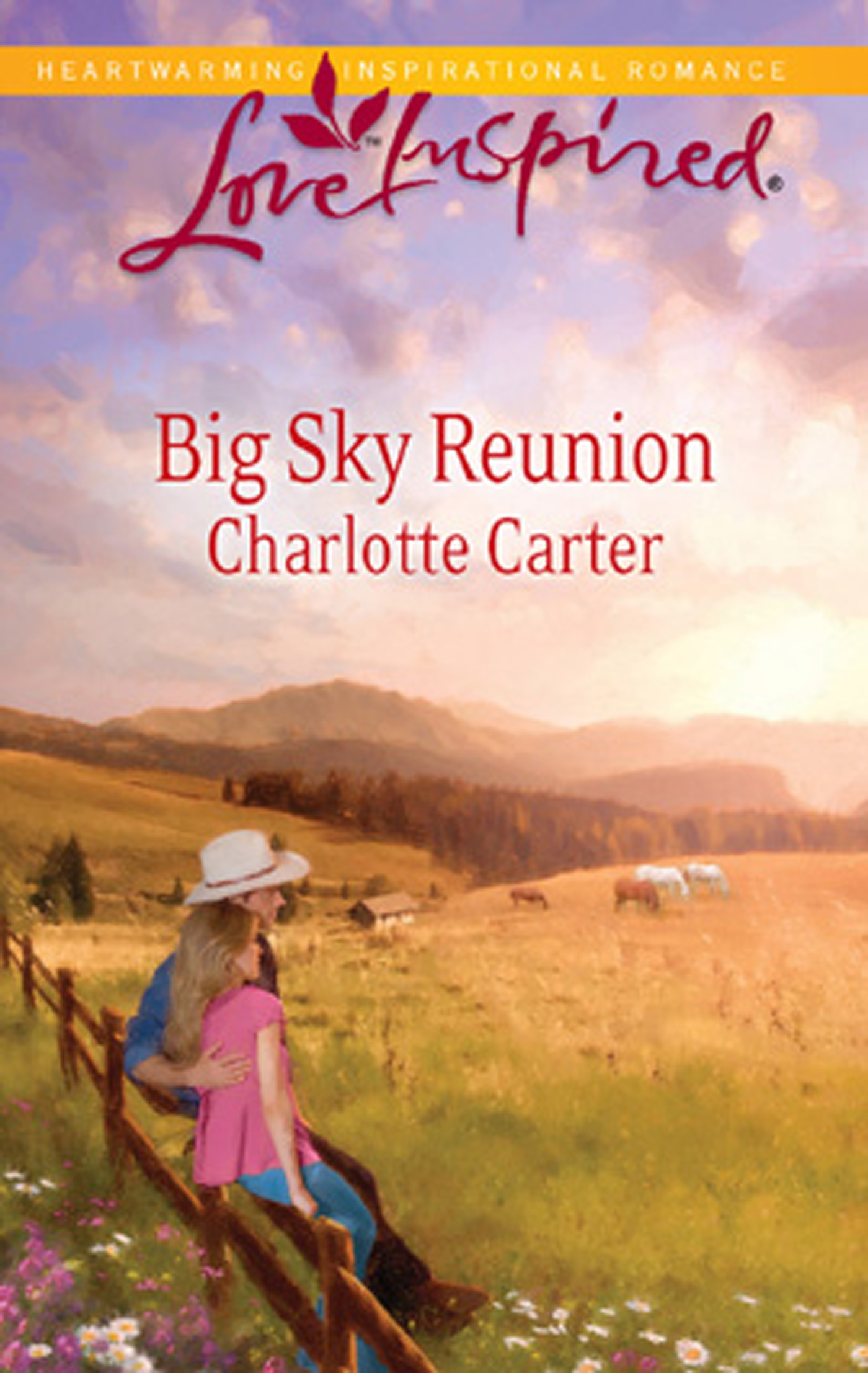 Обложка книги «Big Sky Reunion»