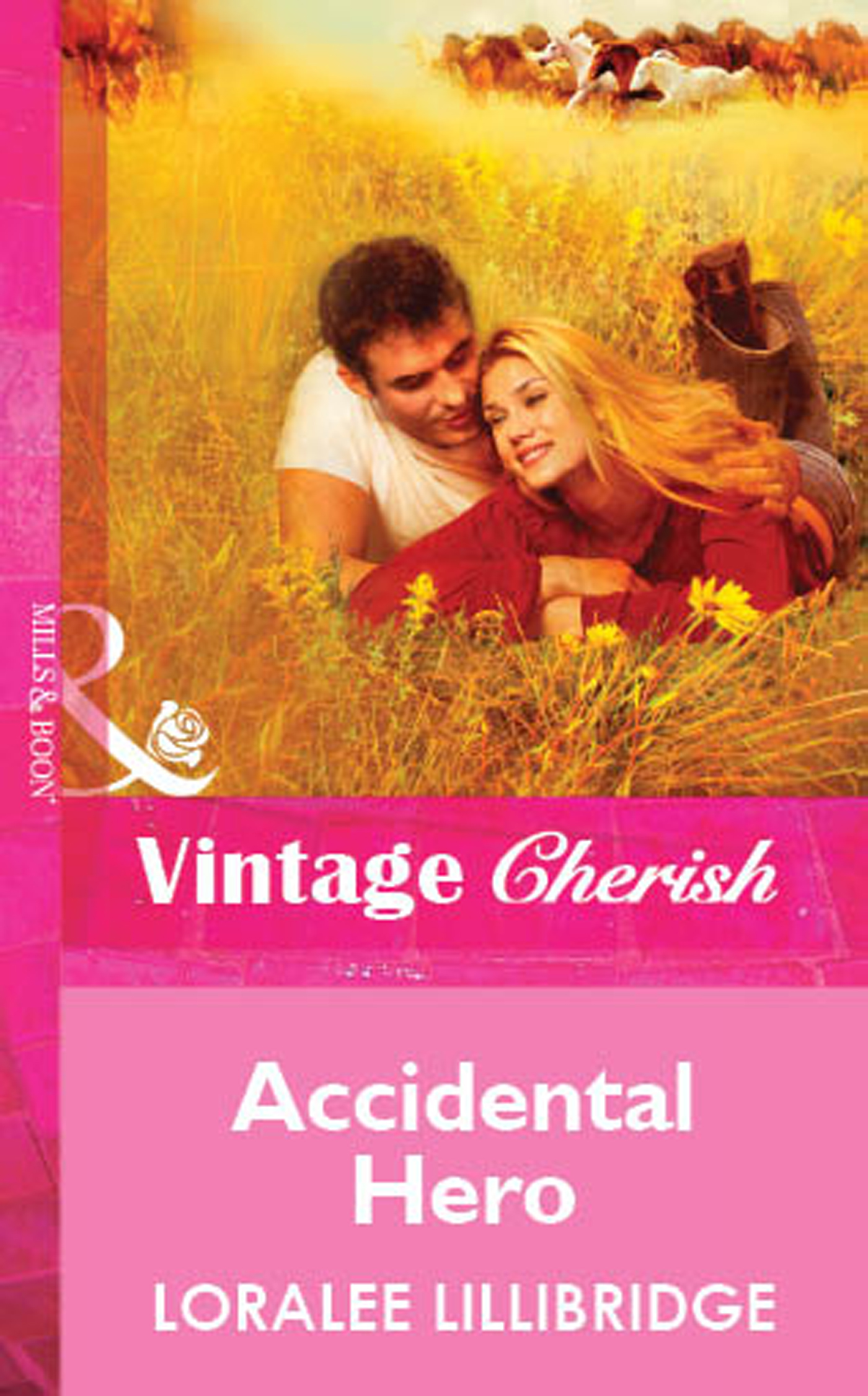 Обложка книги «Accidental Hero»