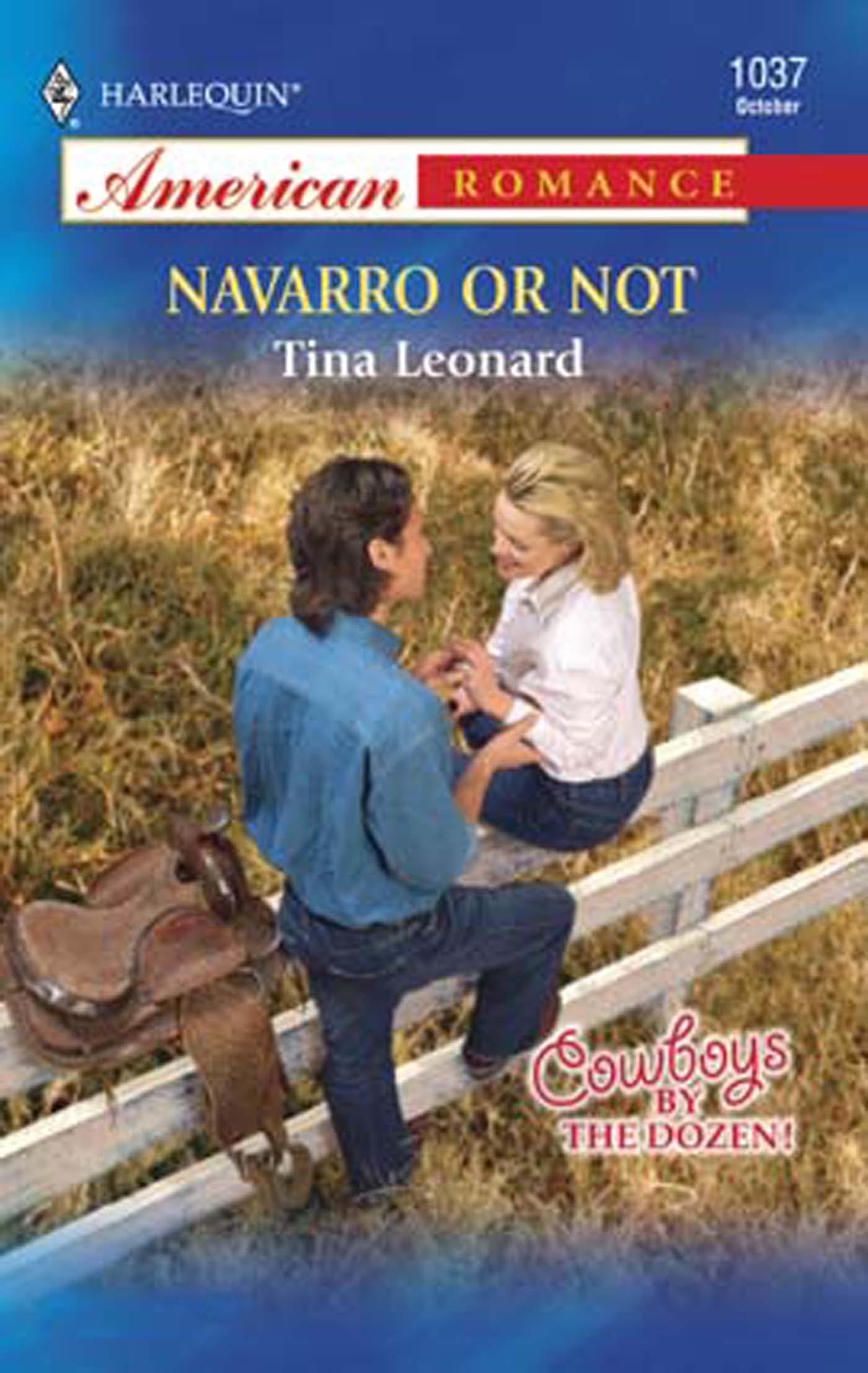 Обложка книги «Navarro or Not»