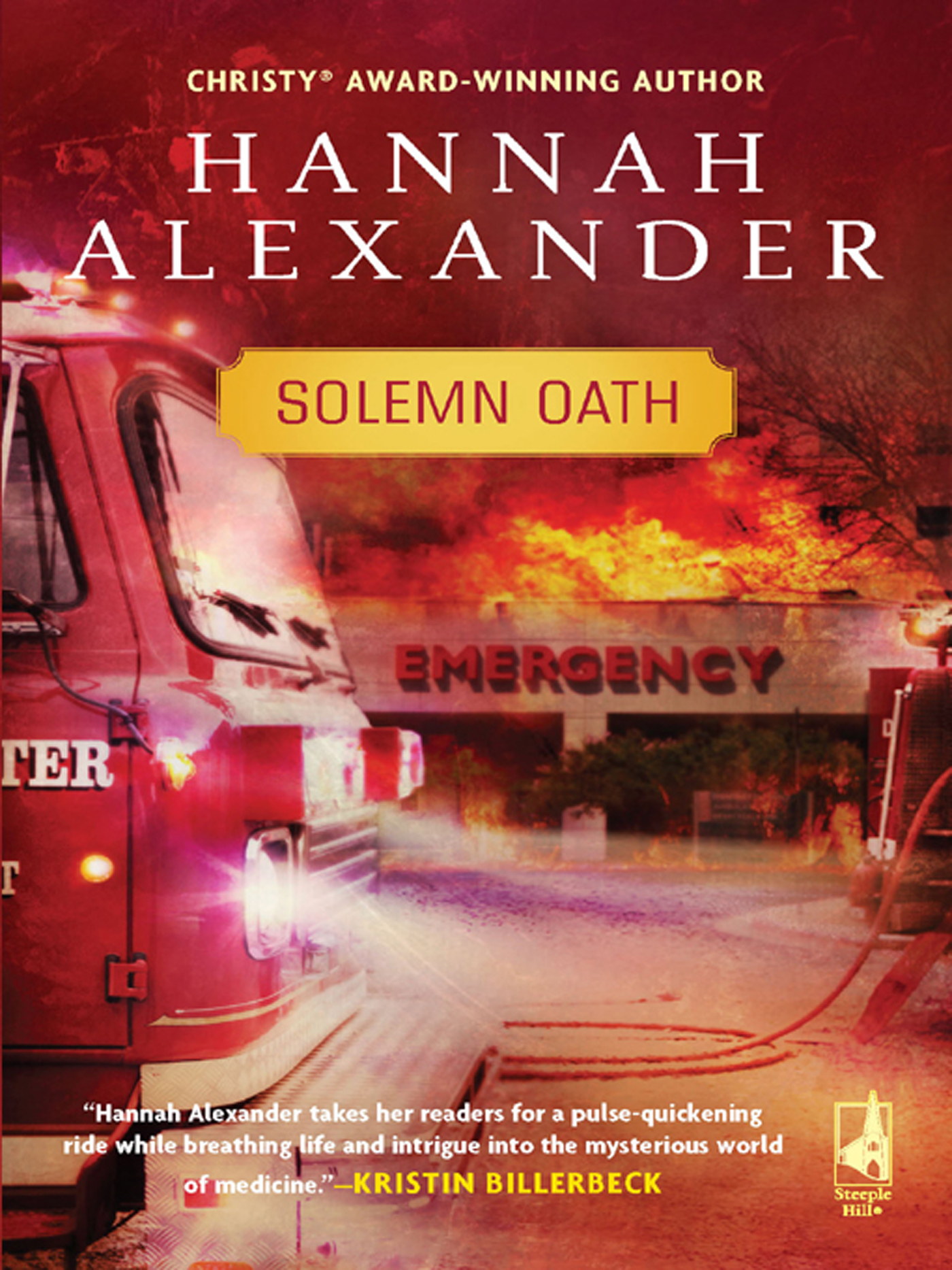 Обложка книги «Solemn Oath»