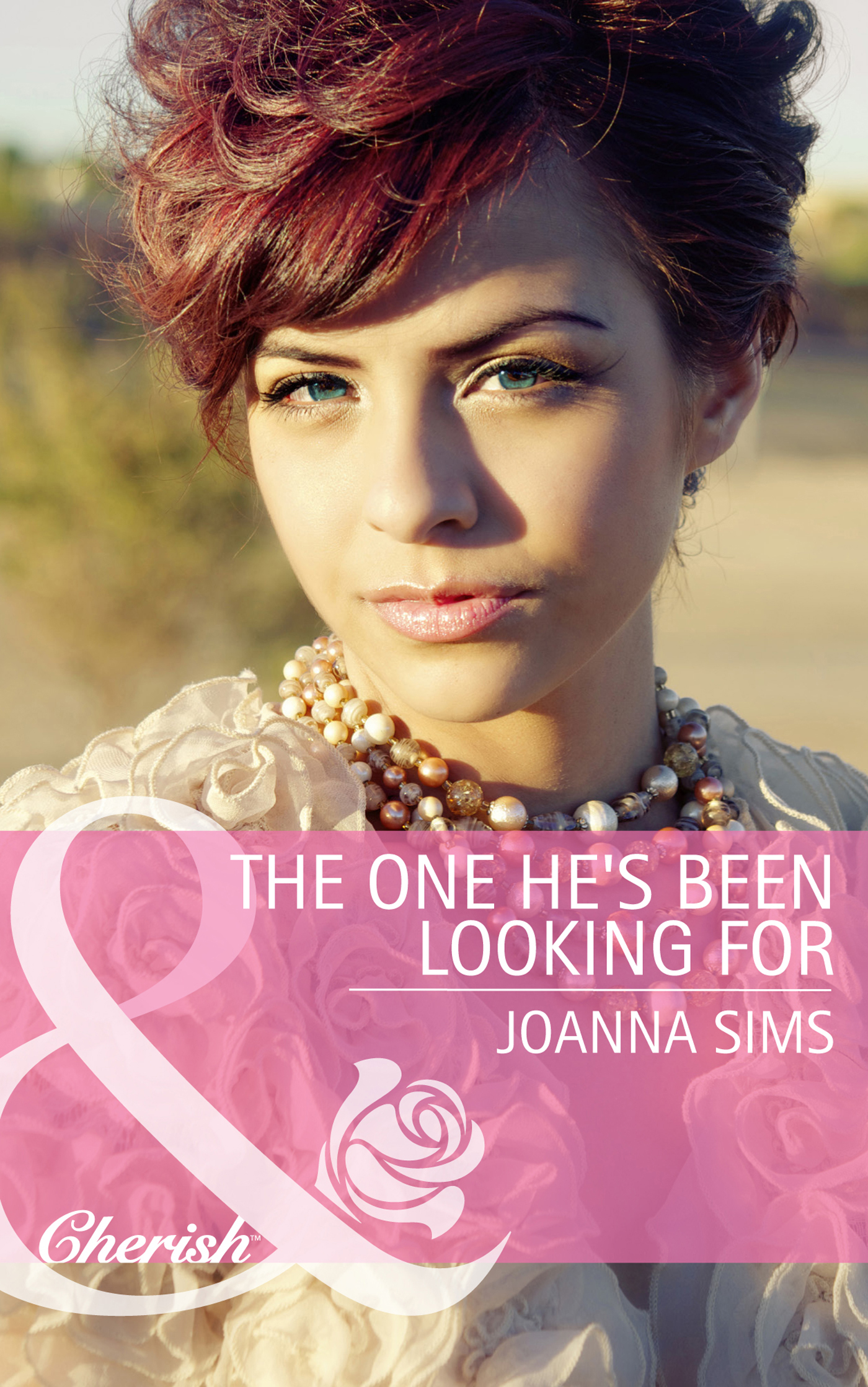 Обложка книги «The One He's Been Looking For»