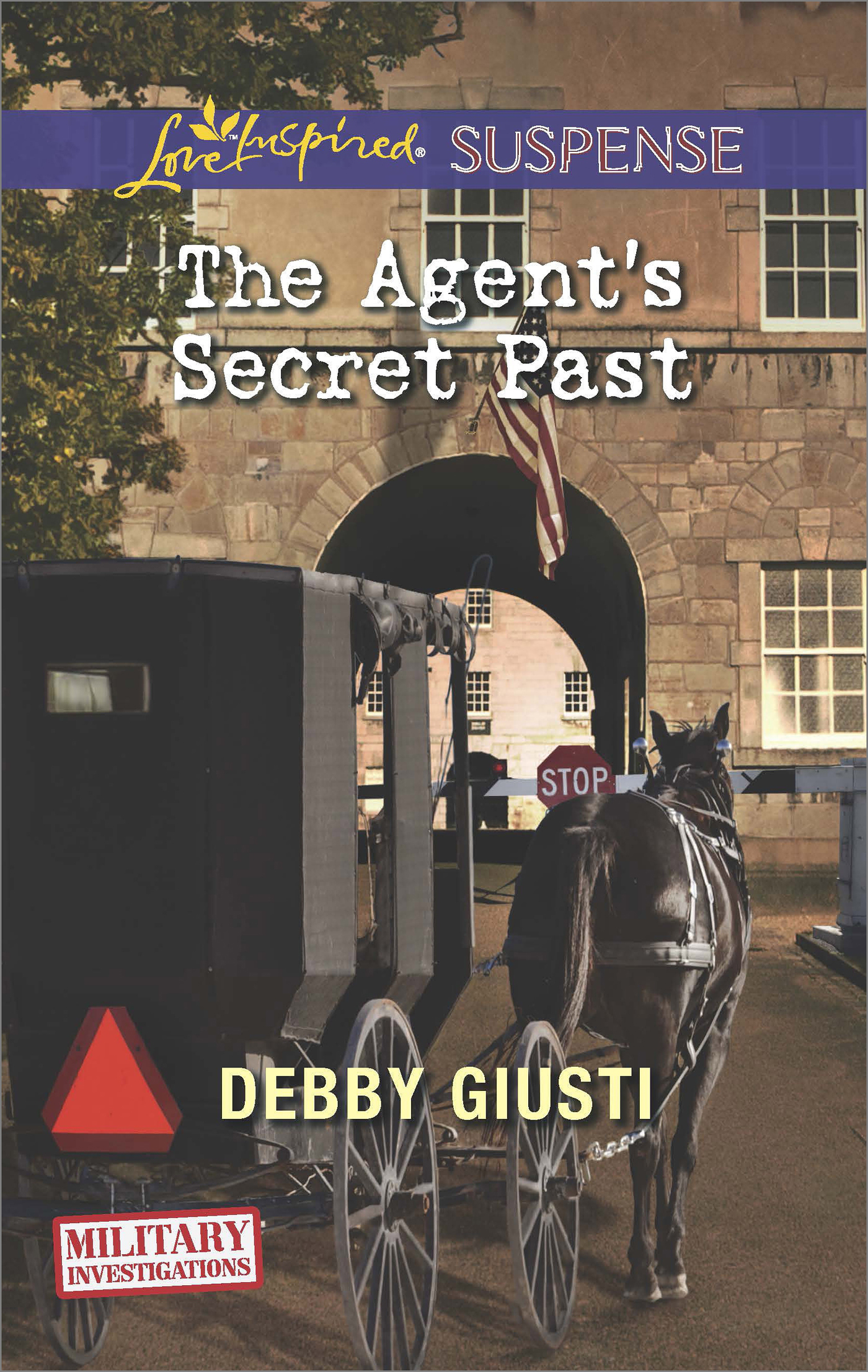 Обложка книги «The Agent's Secret Past»