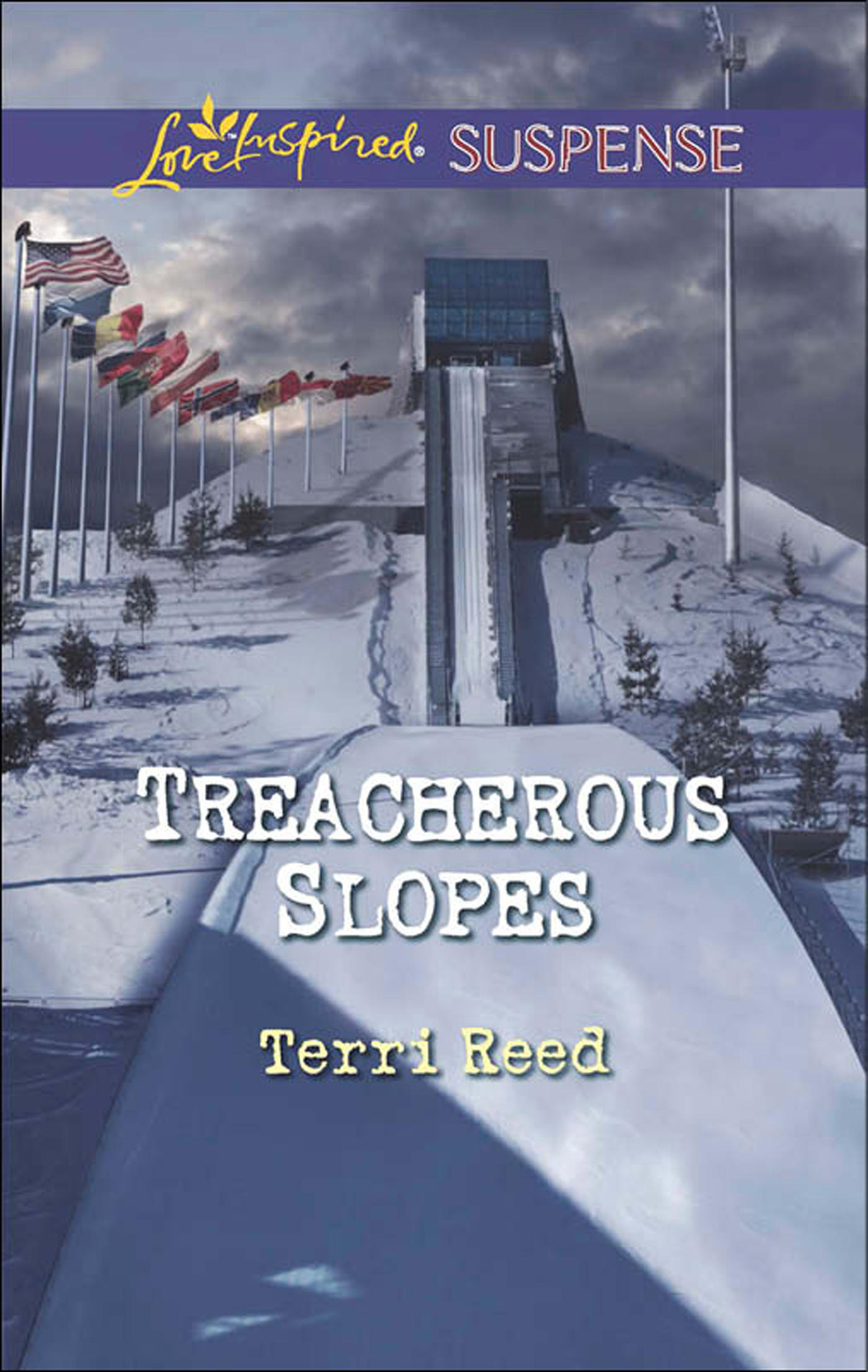 Обложка книги «Treacherous Slopes»