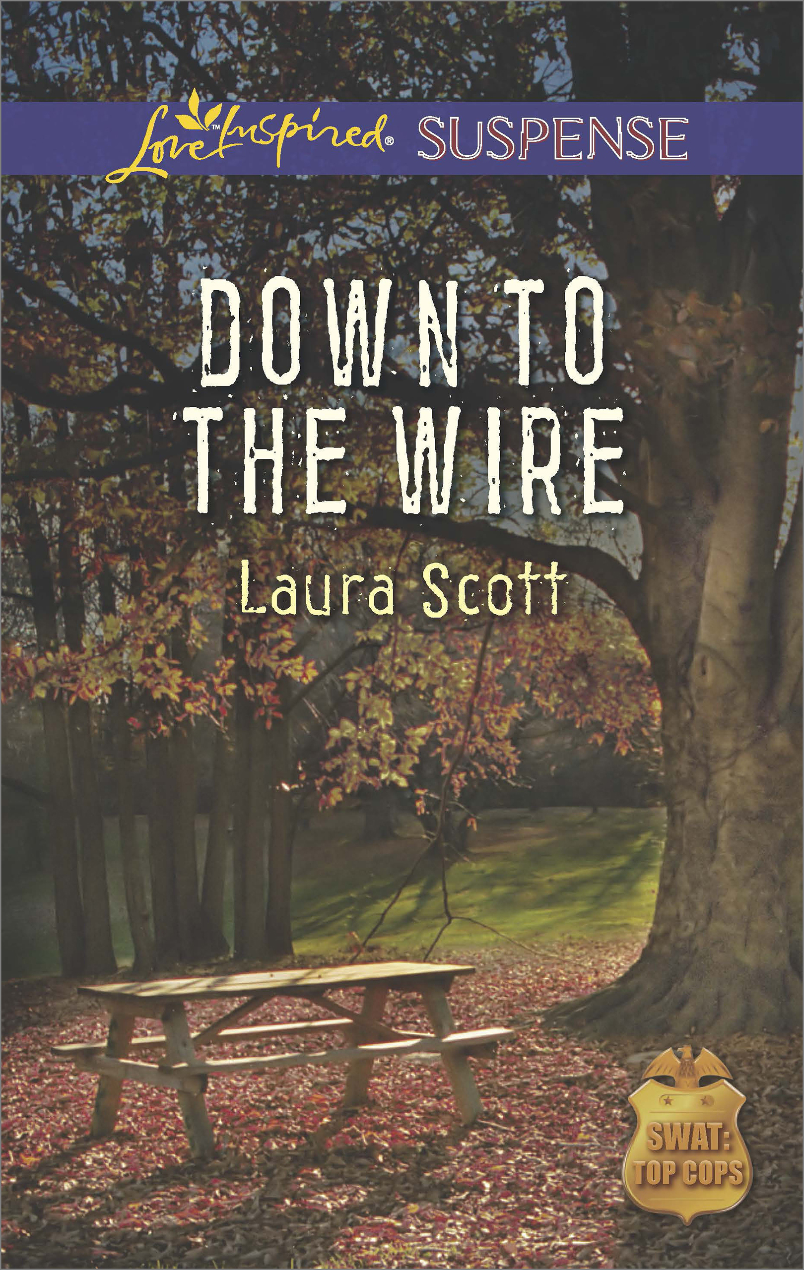 Обложка книги «Down to the Wire»
