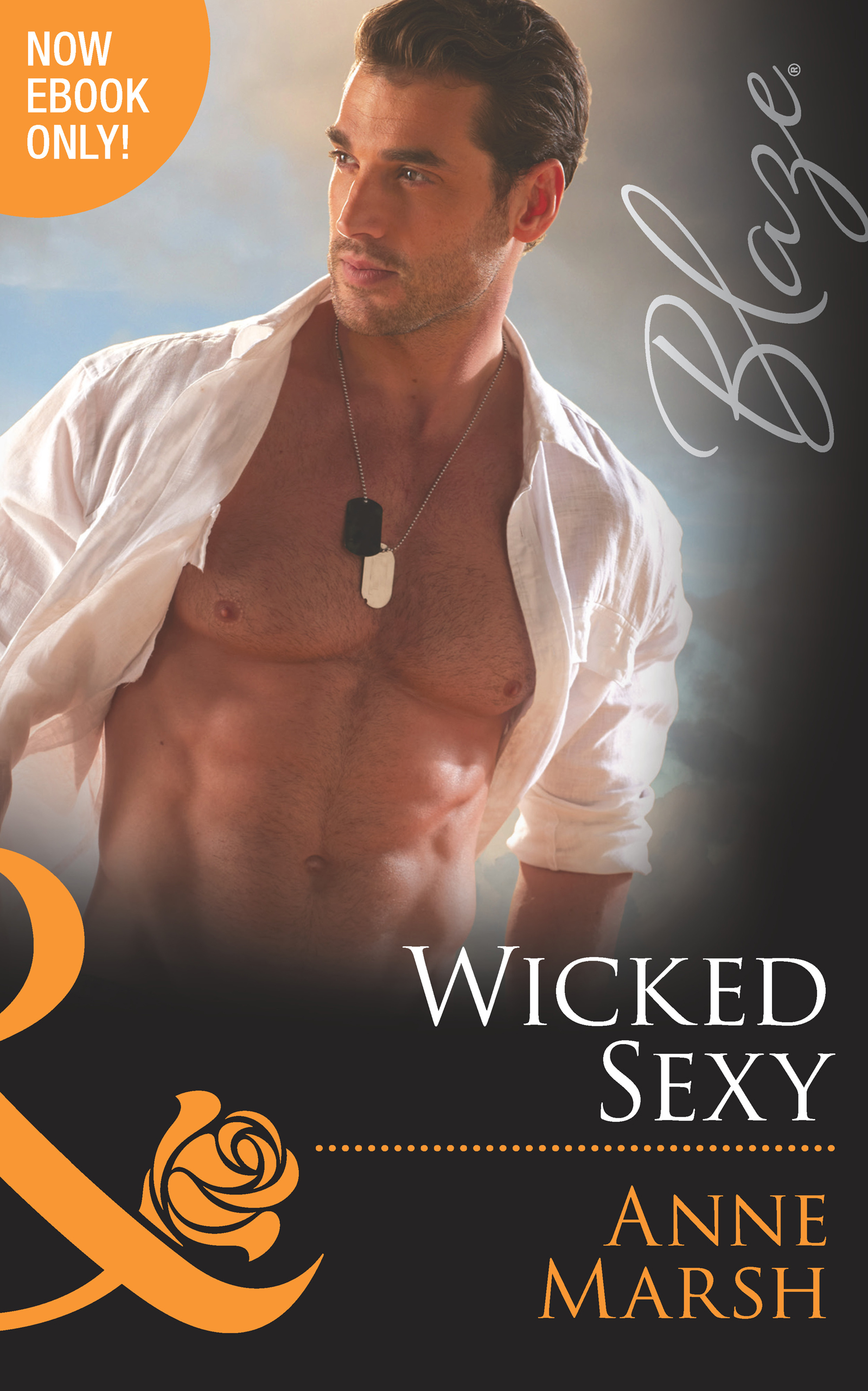 Обложка книги «Wicked Sexy»