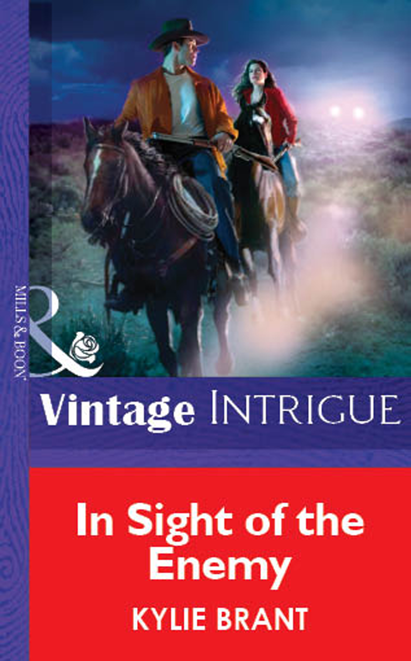 Обложка книги «In Sight Of The Enemy»