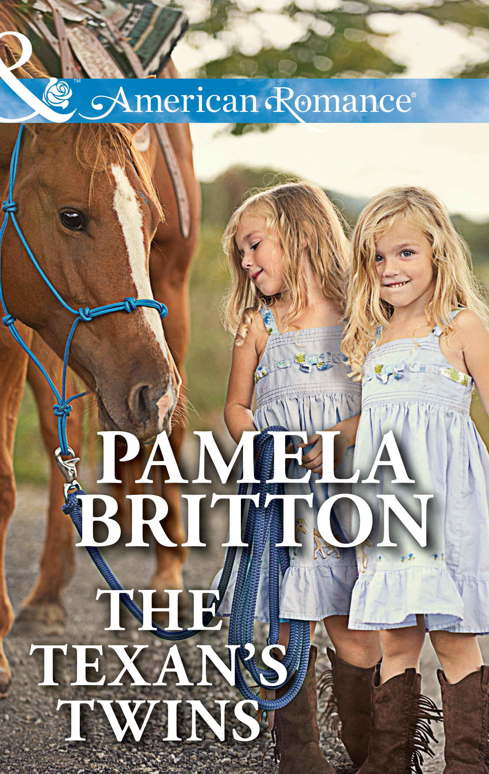 Обложка книги «The Texan's Twins»