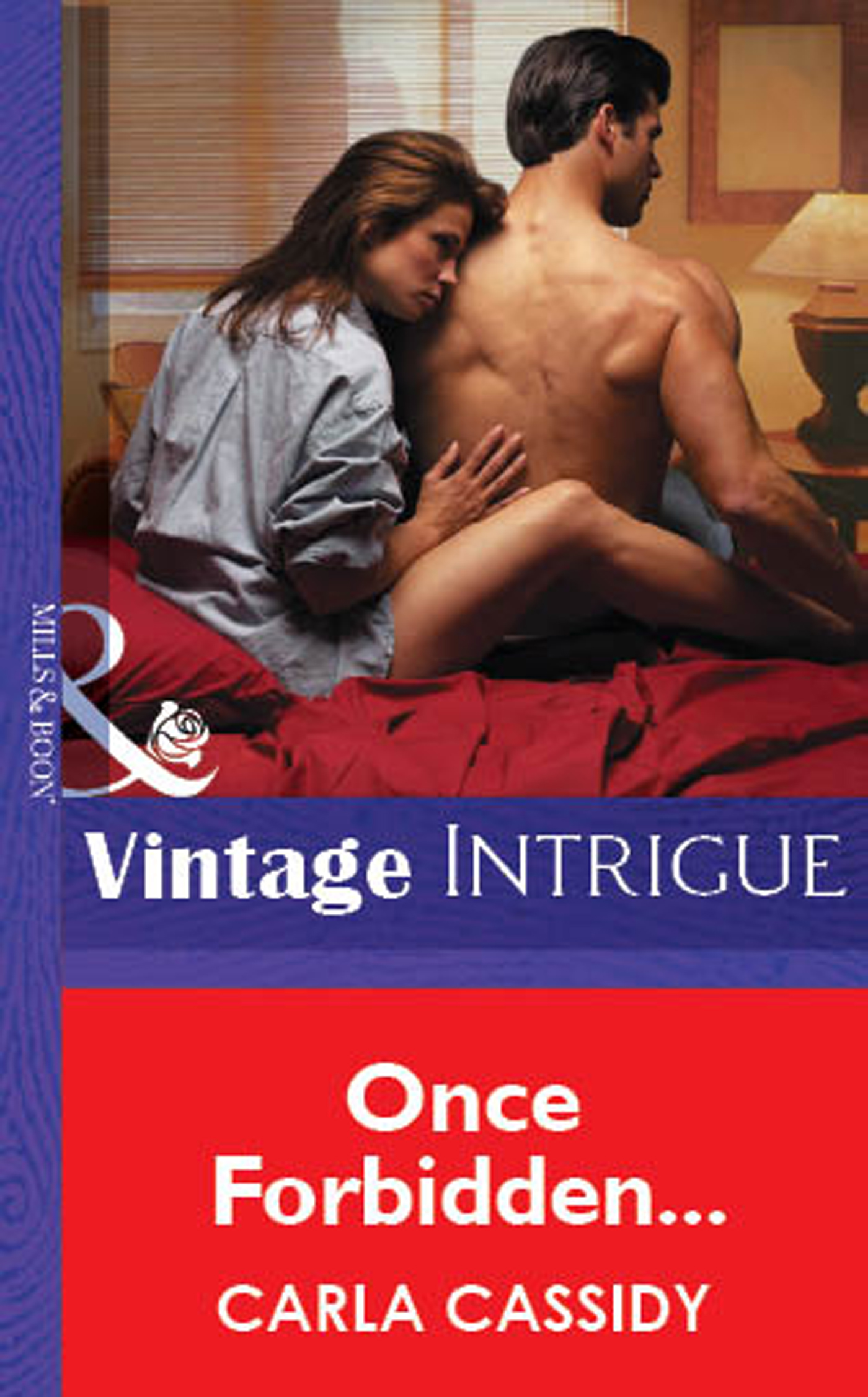 Обложка книги «Once Forbidden...»