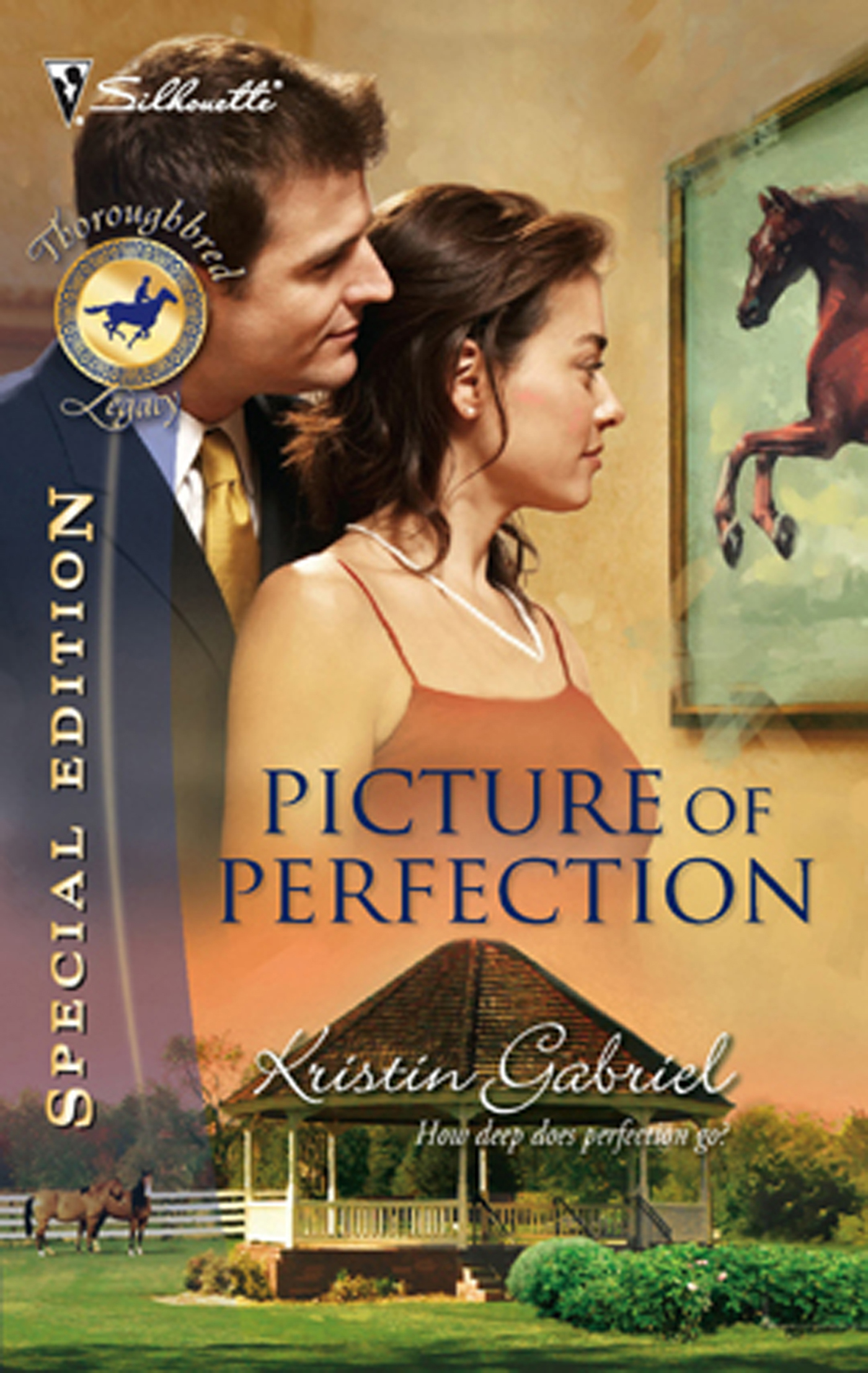Обложка книги «Picture Of Perfection»