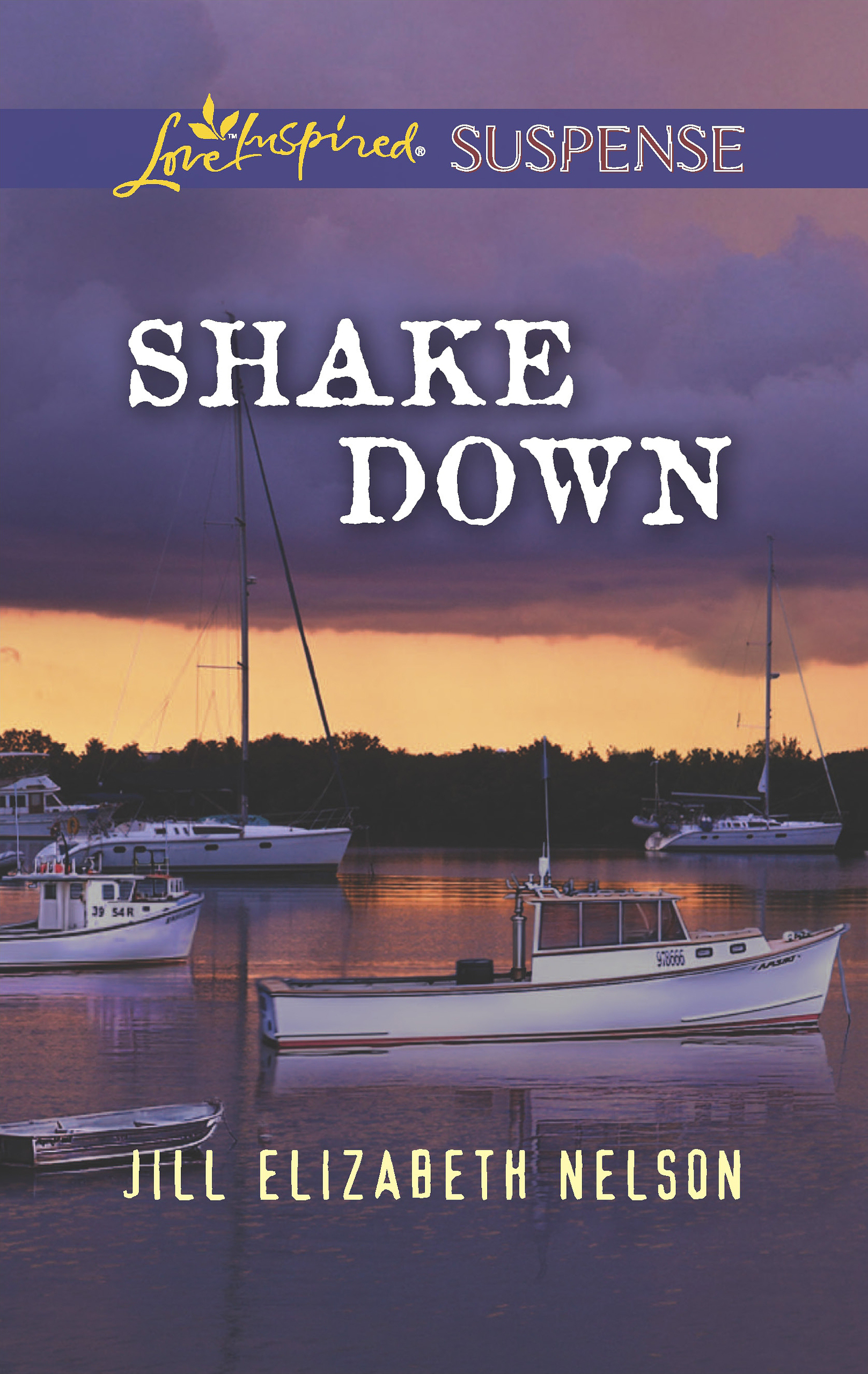 Обложка книги «Shake Down»