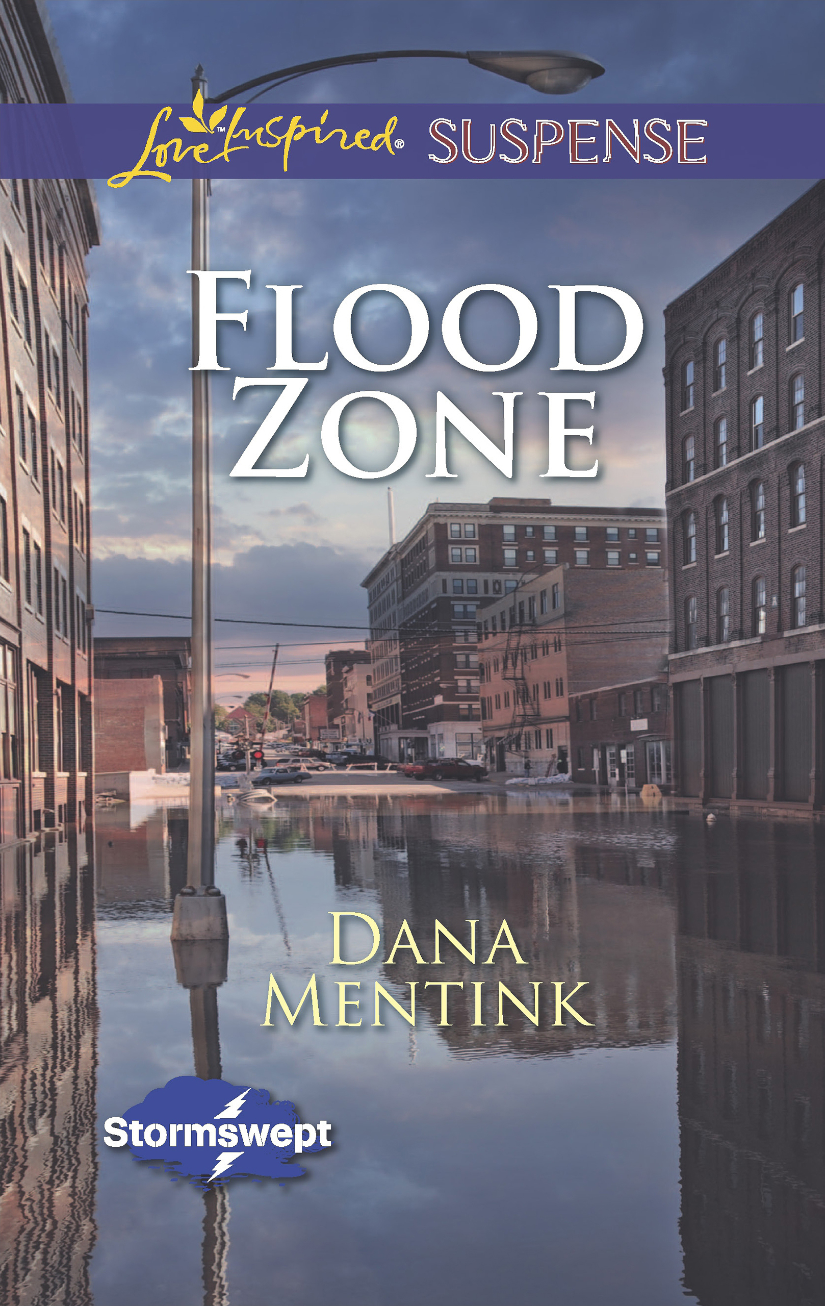 Обложка книги «Flood Zone»