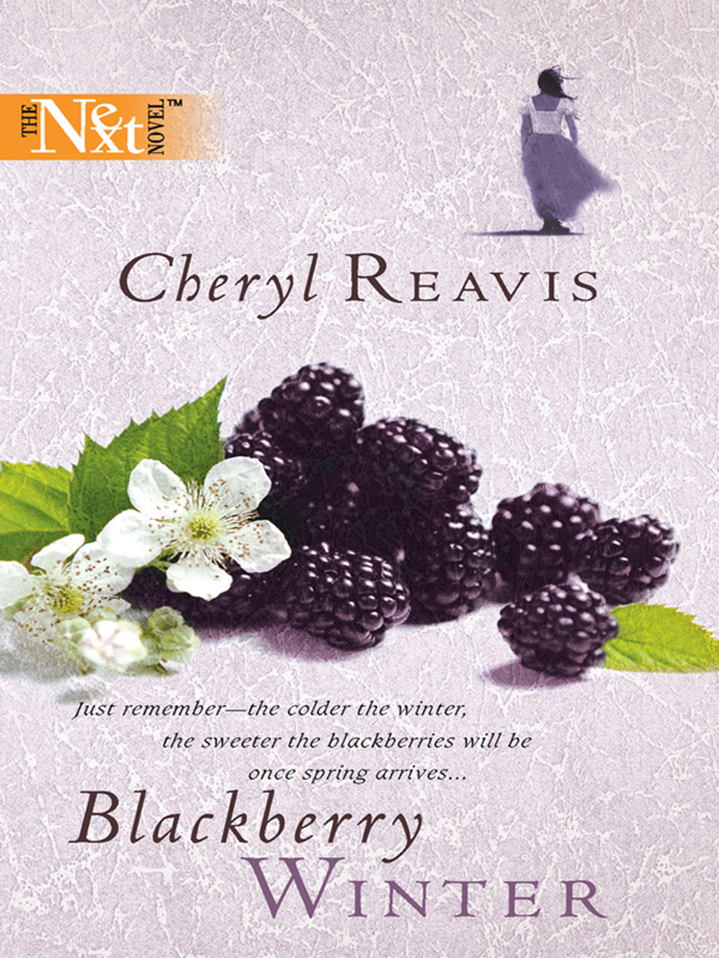 Обложка книги «Blackberry Winter»