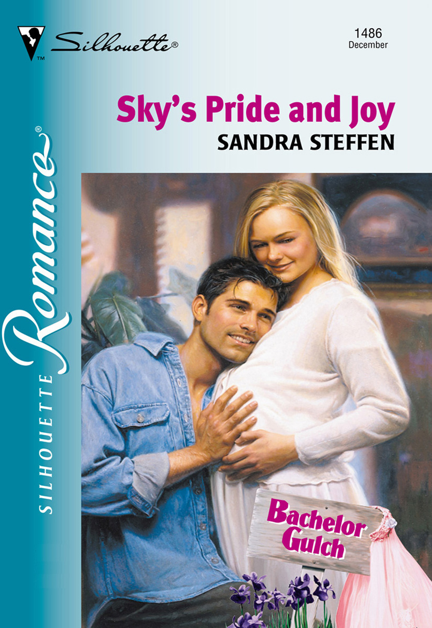 Обложка книги «Sky's Pride And Joy»