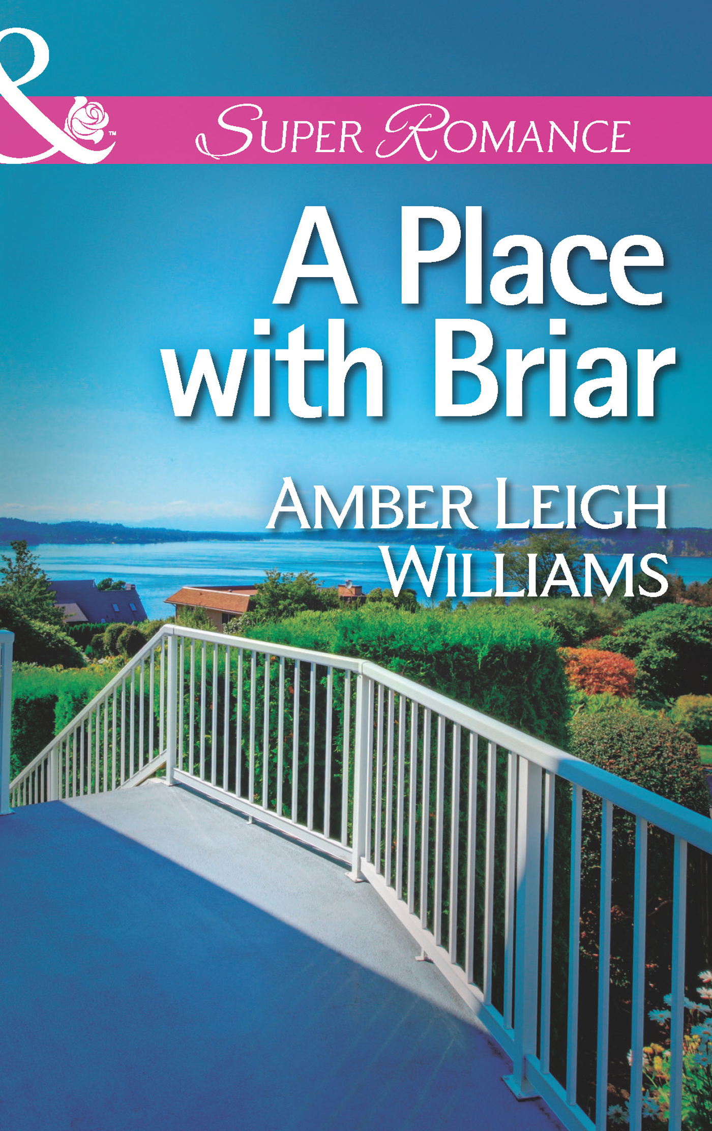 Обложка книги «A Place with Briar»