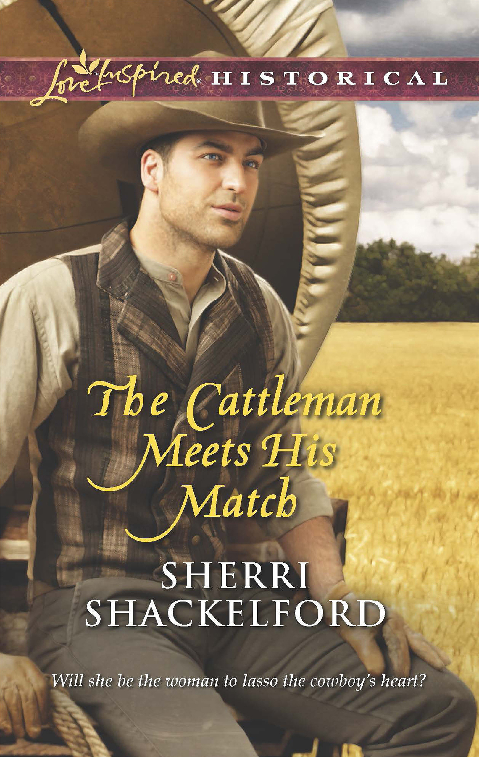 Обложка книги «The Cattleman Meets His Match»