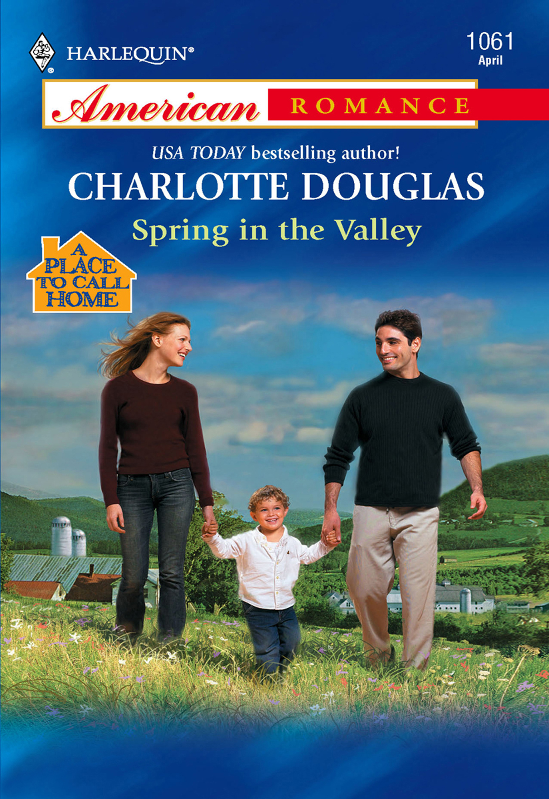 Обложка книги «Spring In The Valley»