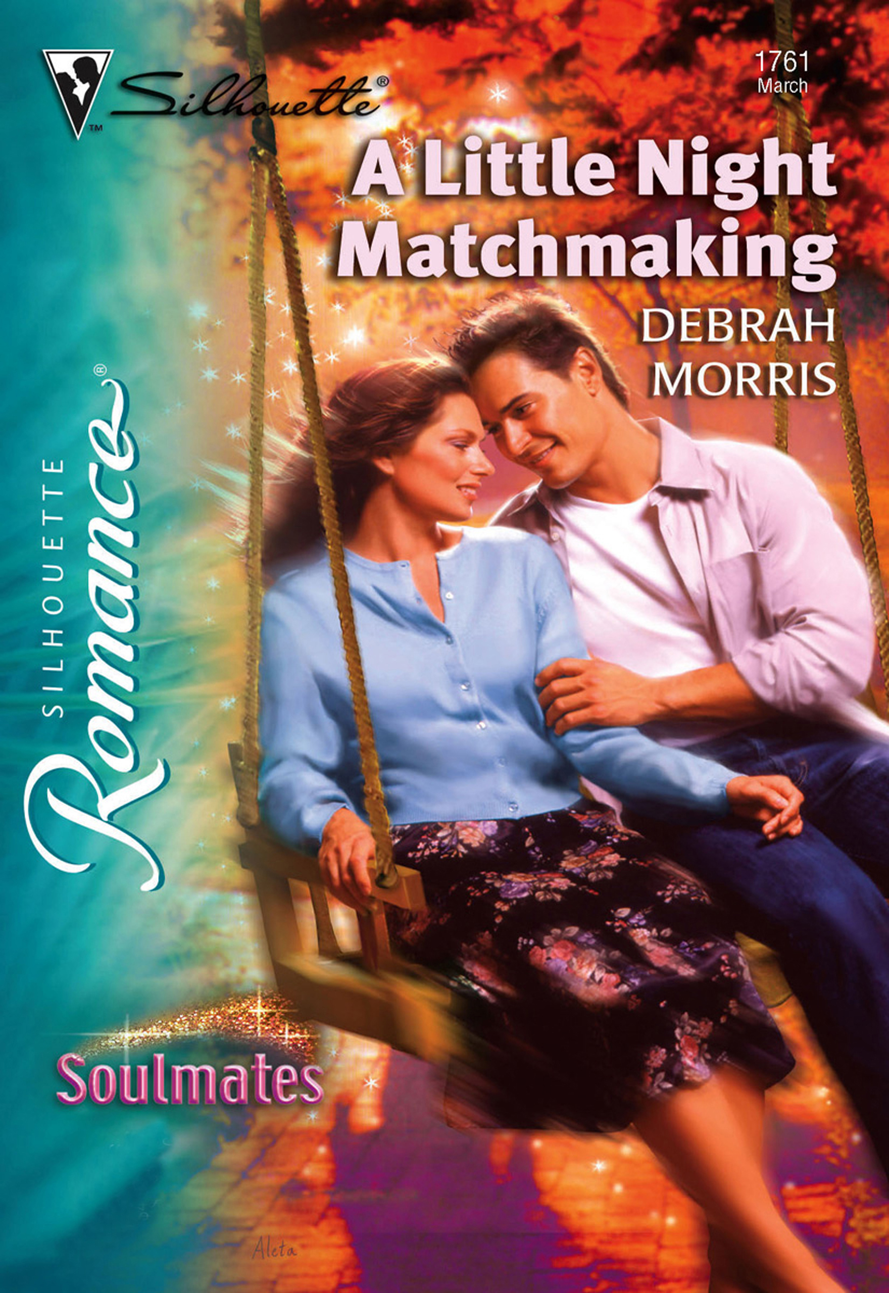 Обложка книги «A Little Night Matchmaking»