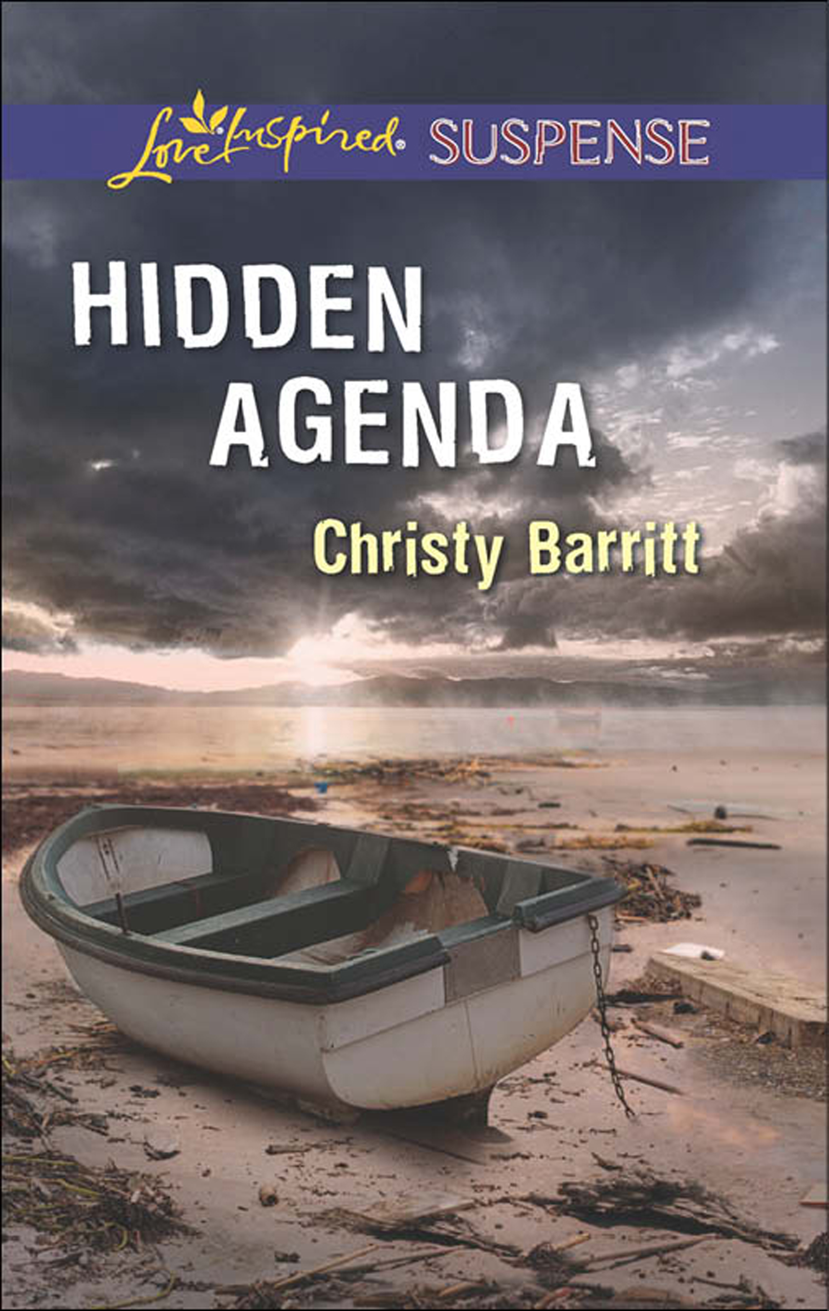 Обложка книги «Hidden Agenda»
