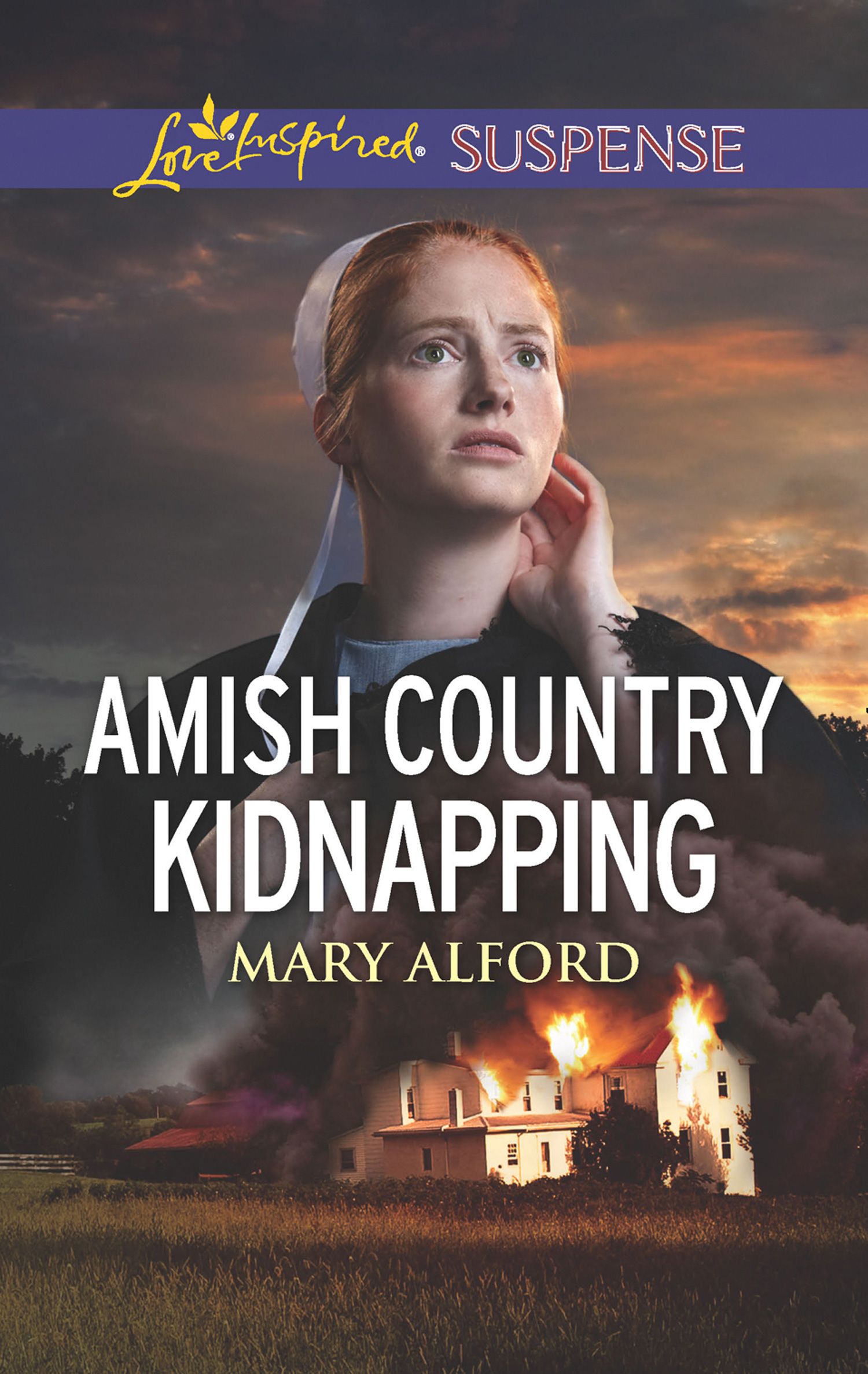 Обложка книги «Amish Country Kidnapping»