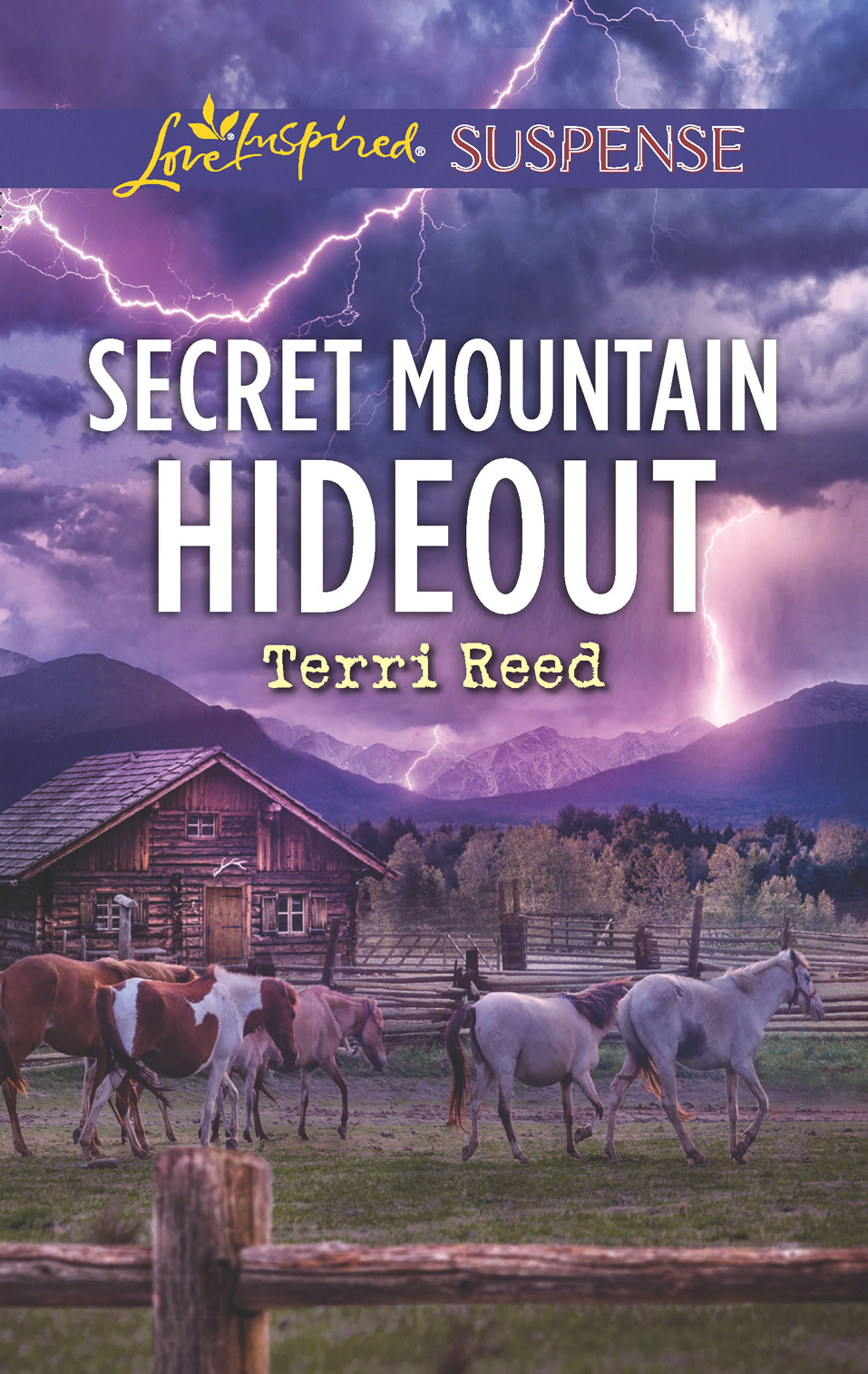 Обложка книги «Secret Mountain Hideout»