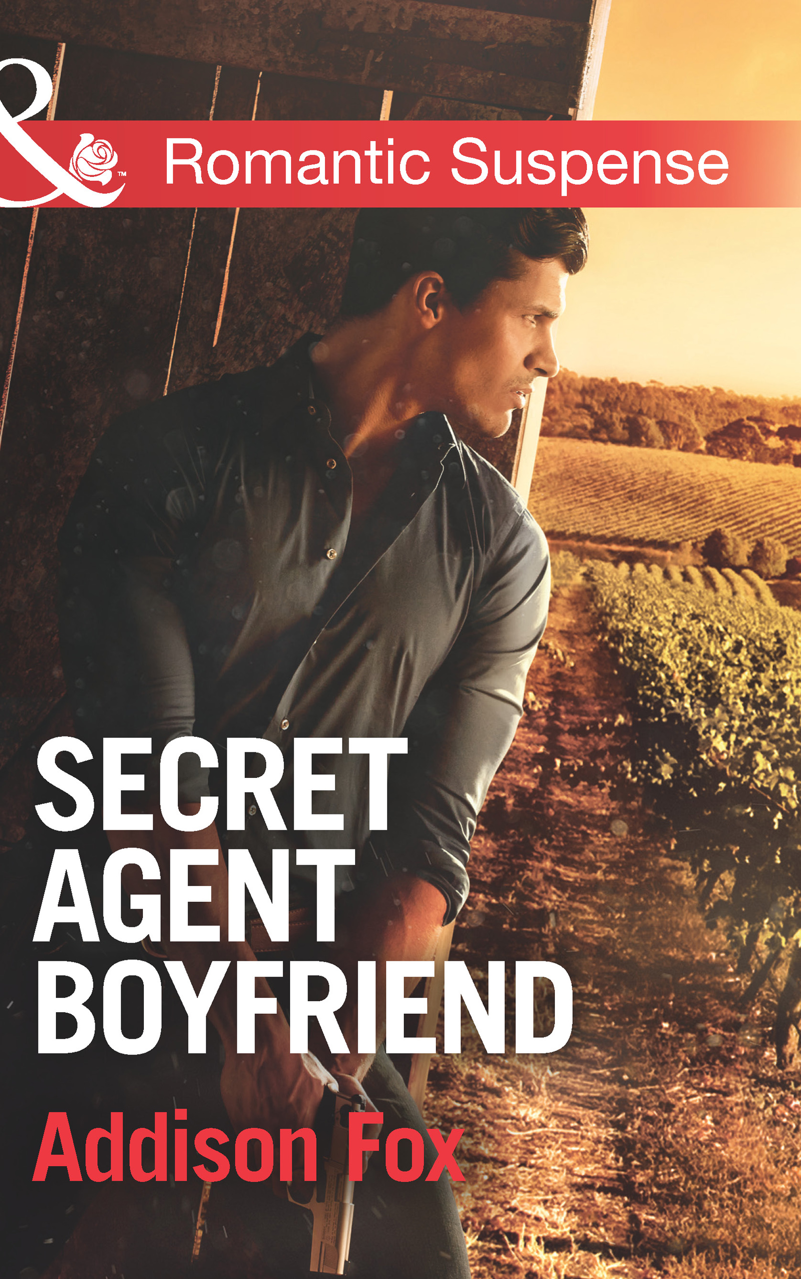Обложка книги «Secret Agent Boyfriend»
