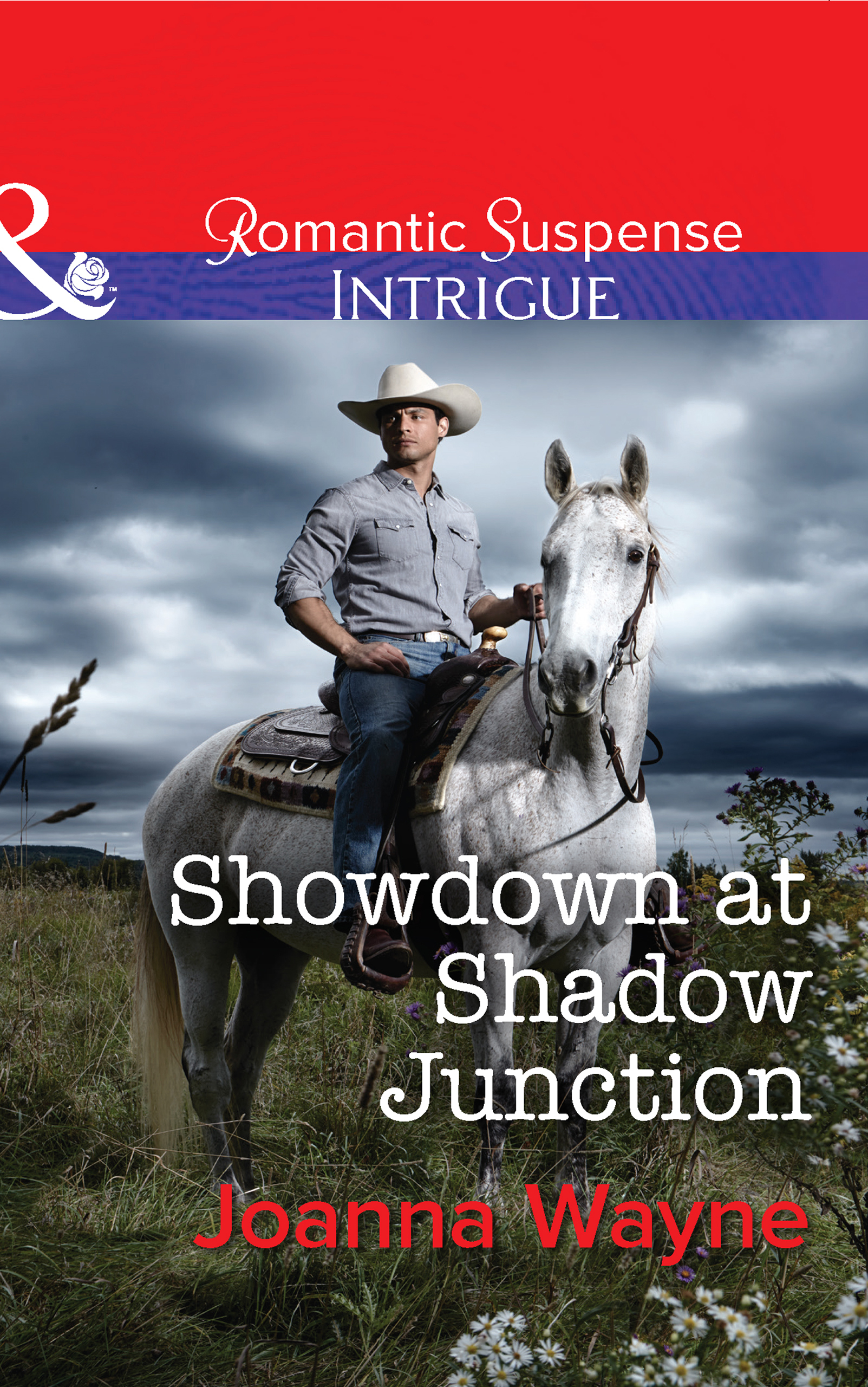 Обложка книги «Showdown at Shadow Junction»