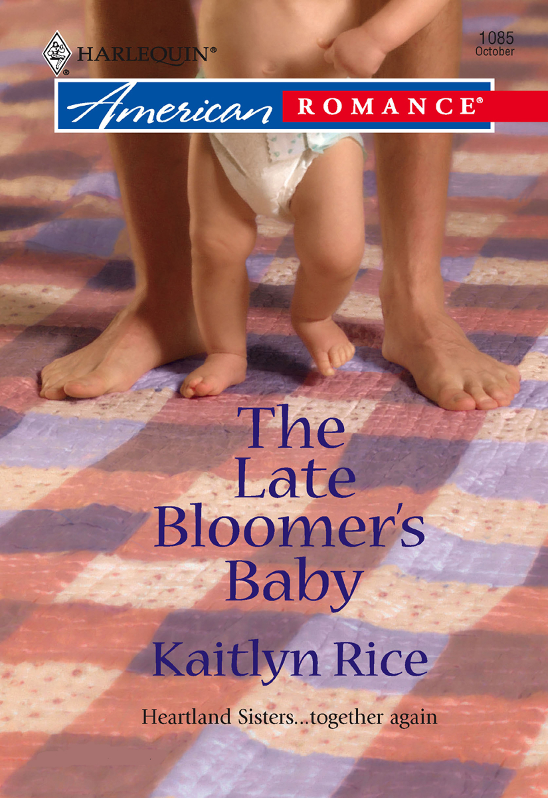 Обложка книги «The Late Bloomer's Baby»