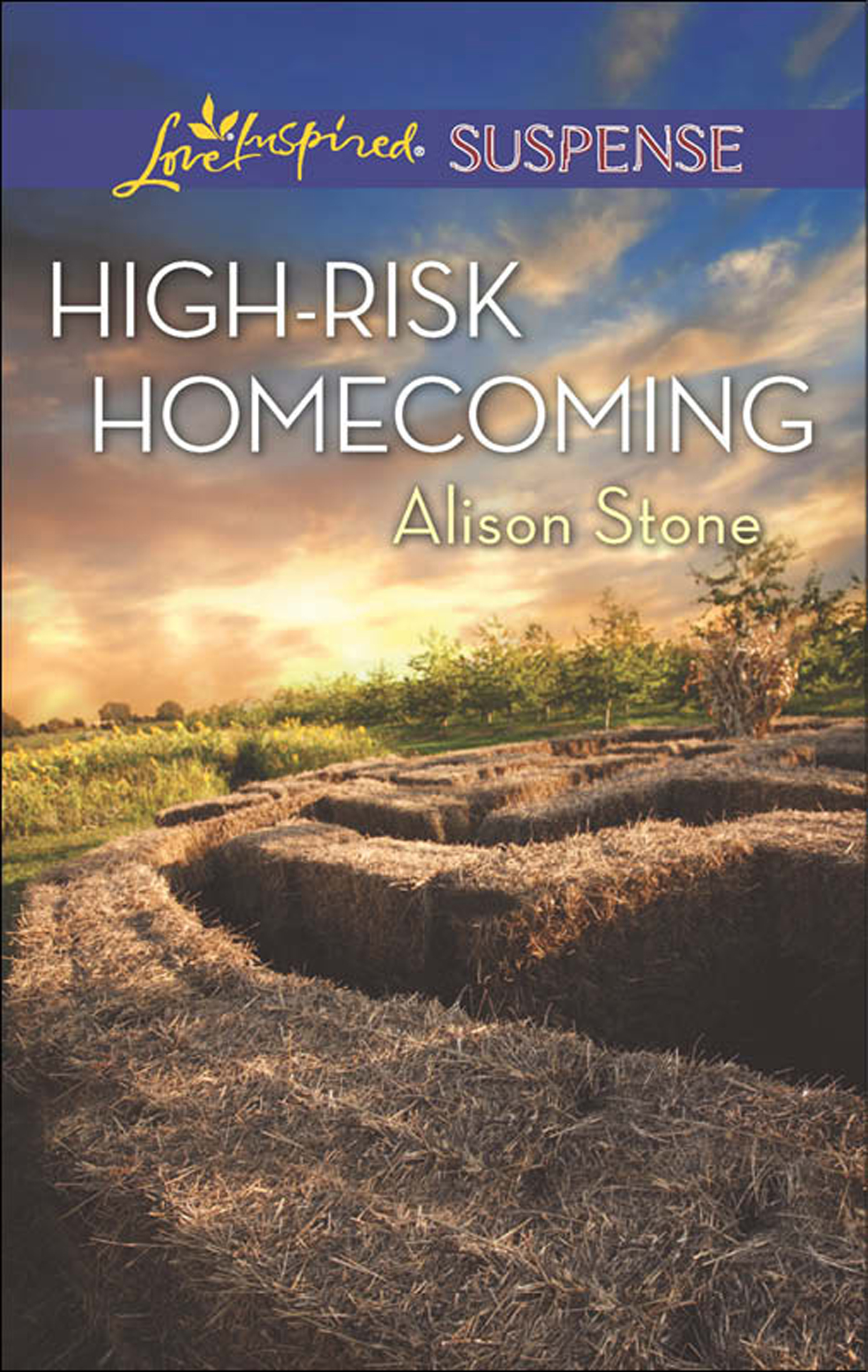 Обложка книги «High-Risk Homecoming»