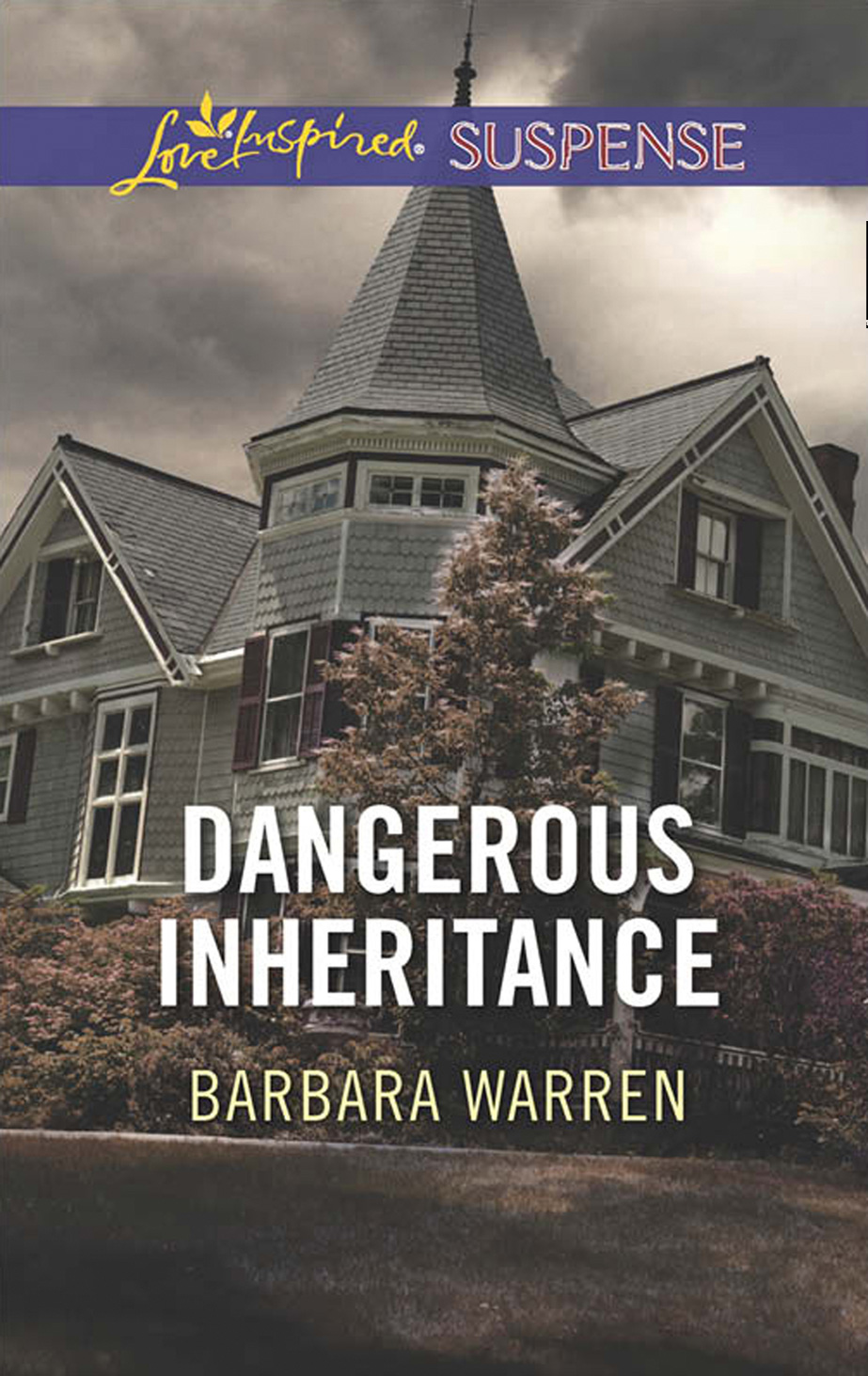 Обложка книги «Dangerous Inheritance»