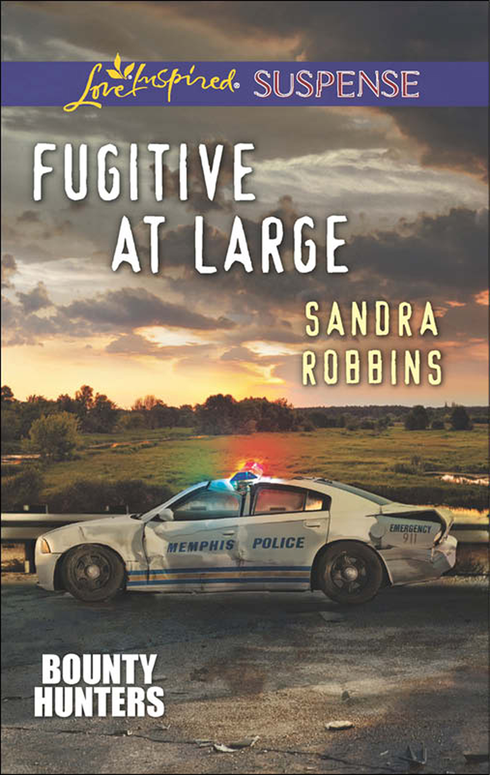 Обложка книги «Fugitive at Large»