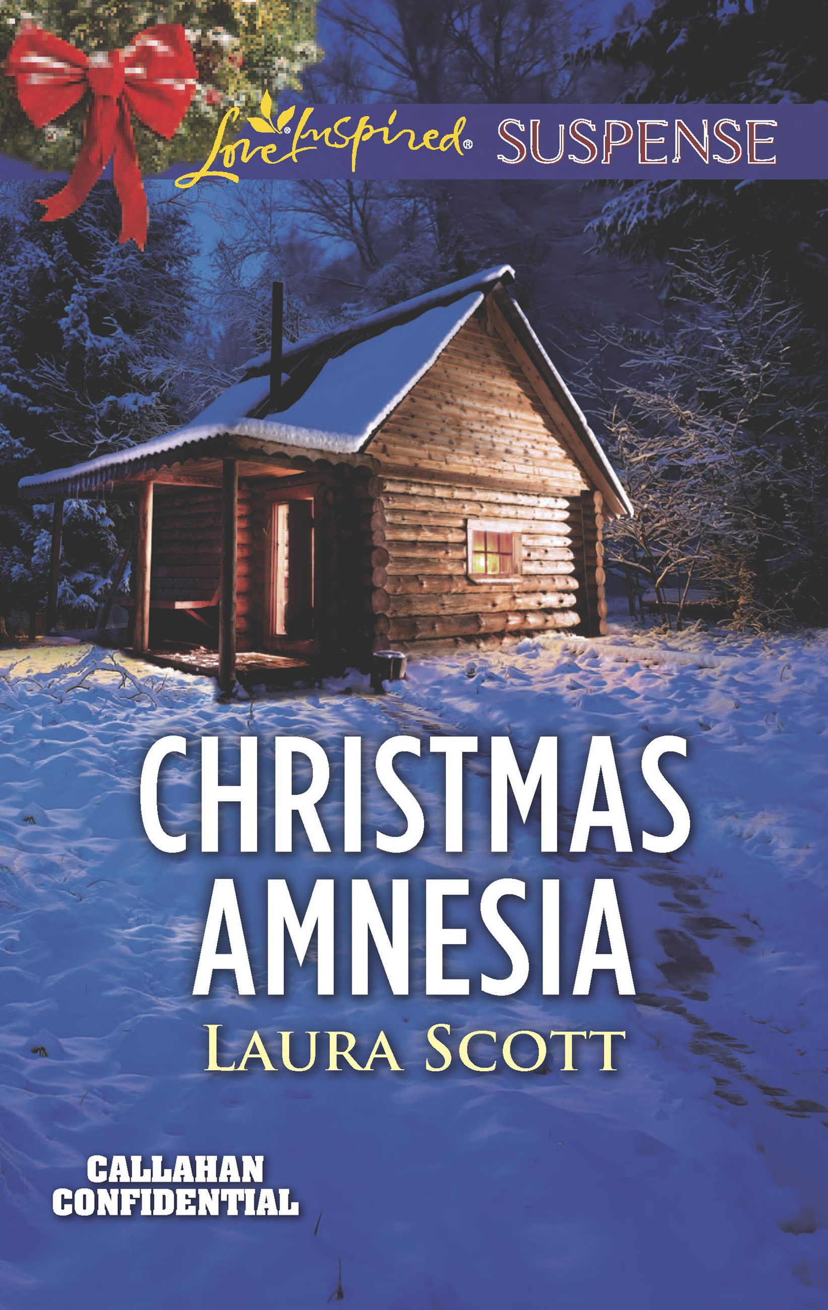 Обложка книги «Christmas Amnesia»