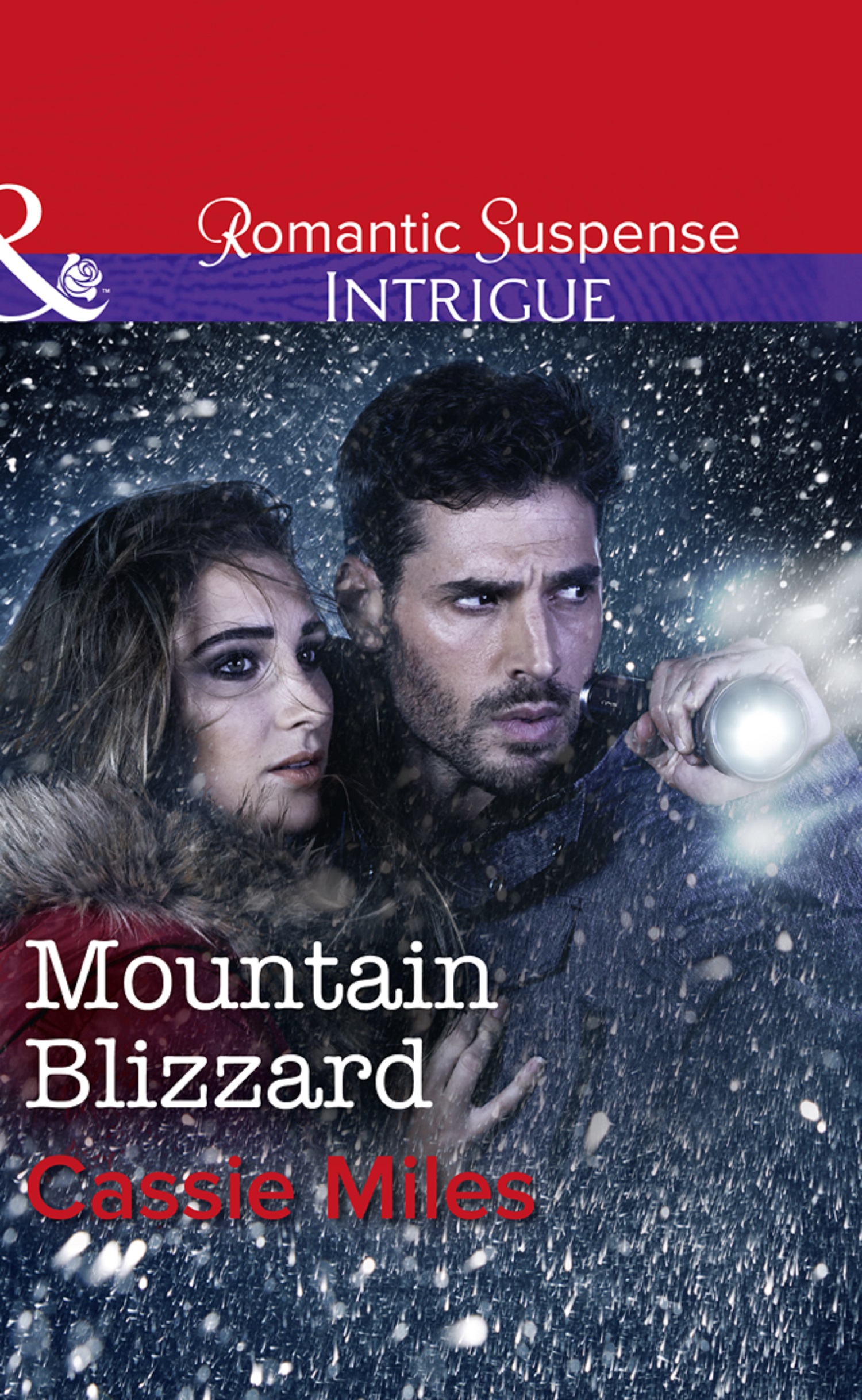 Обложка книги «Mountain Blizzard»