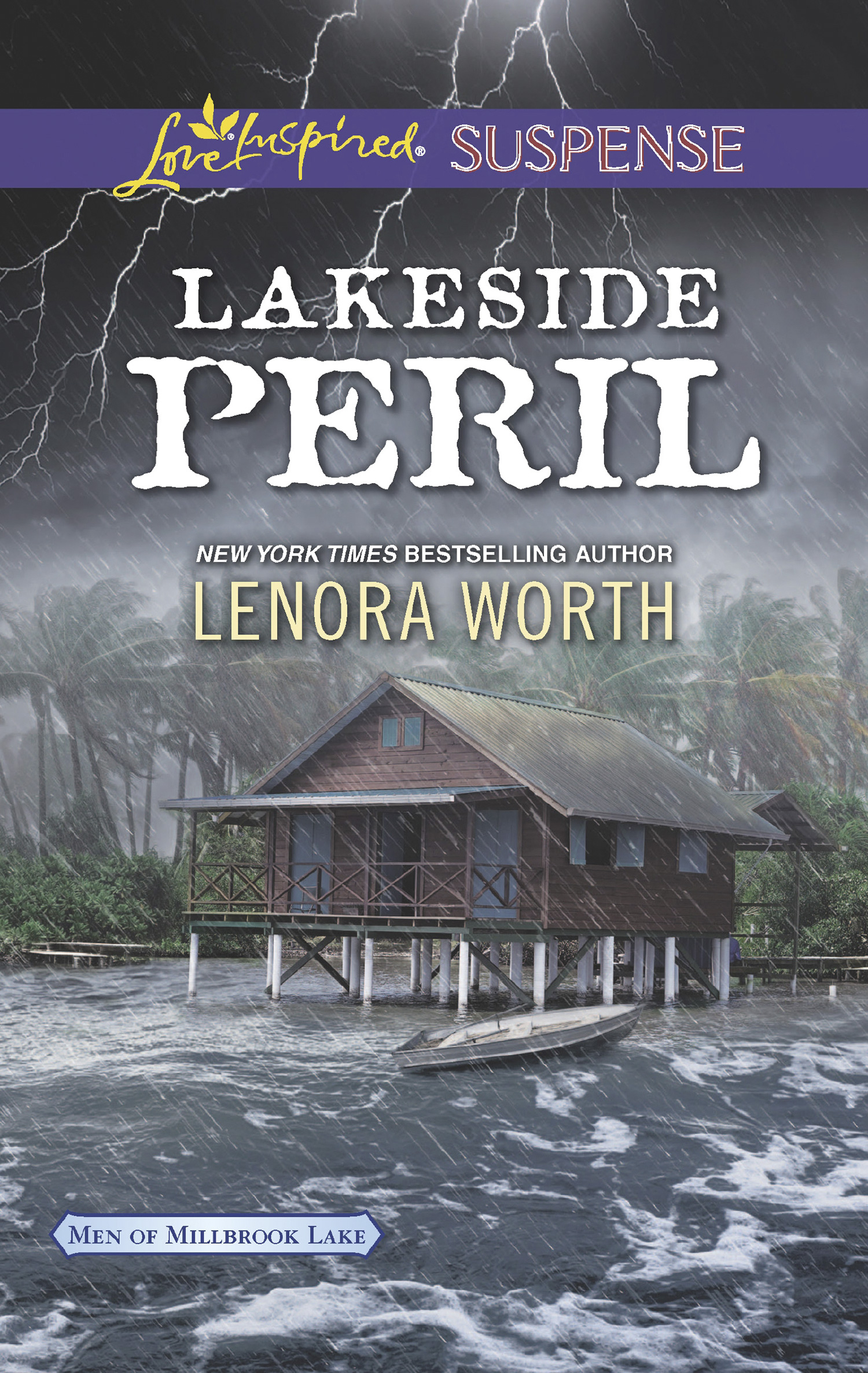 Обложка книги «Lakeside Peril»