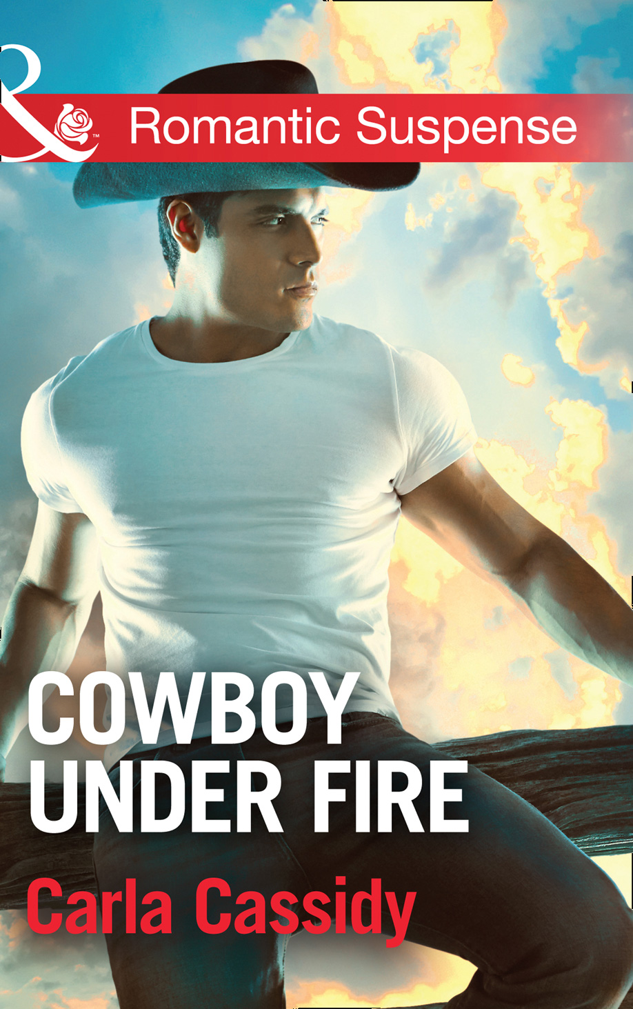 Обложка книги «Cowboy Under Fire»
