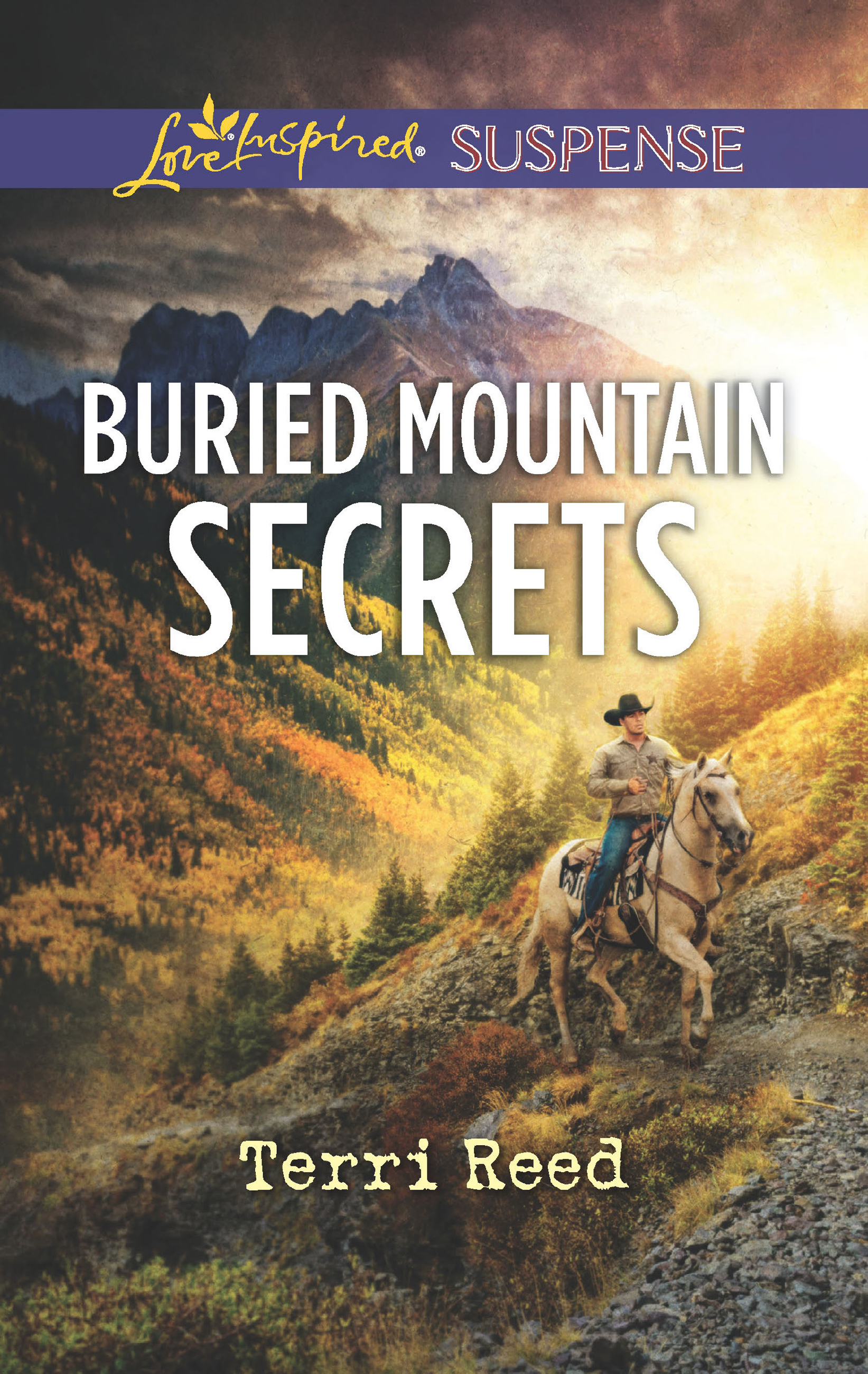 Обложка книги «Buried Mountain Secrets»