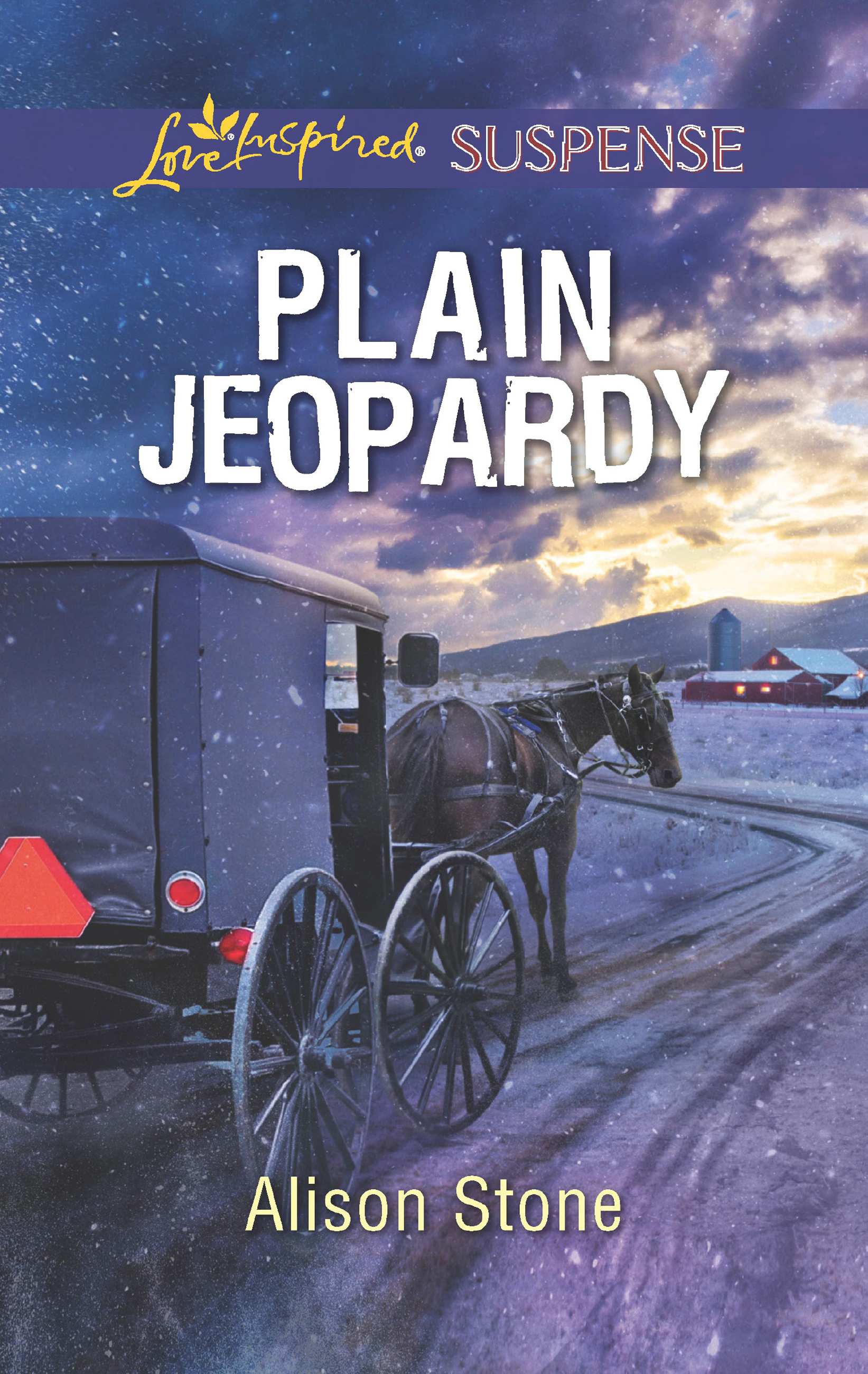 Обложка книги «Plain Jeopardy»