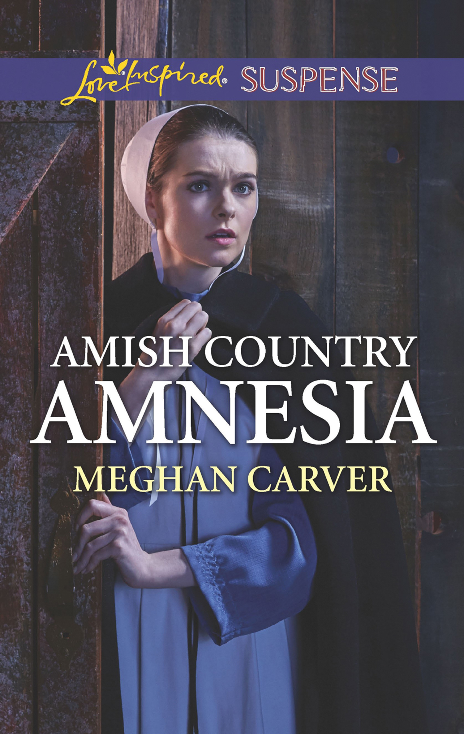 Обложка книги «Amish Country Amnesia»