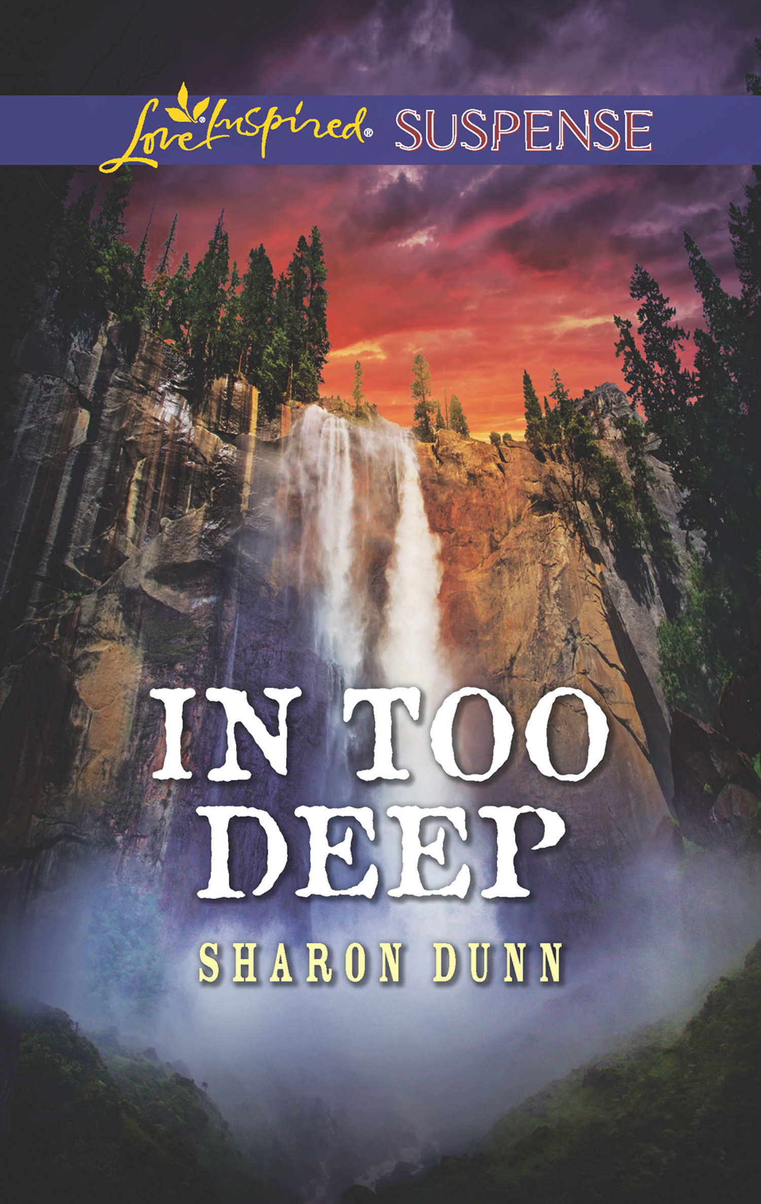 Обложка книги «In Too Deep»