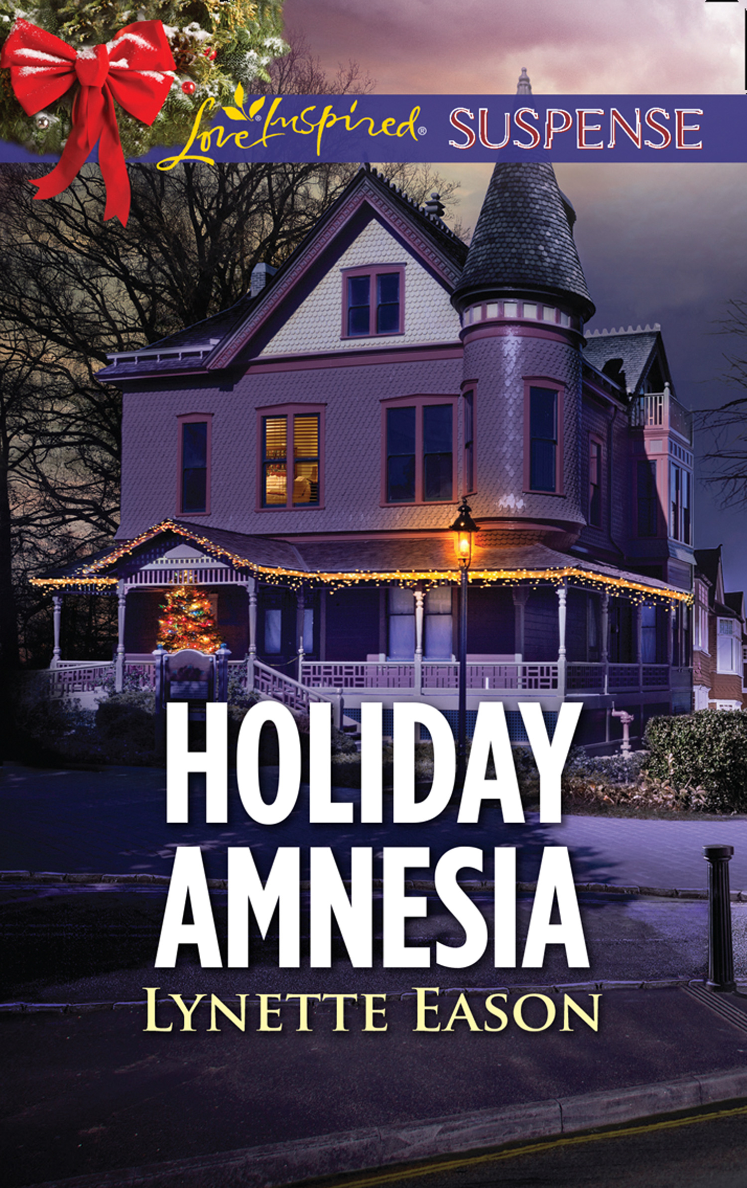 Обложка книги «Holiday Amnesia»