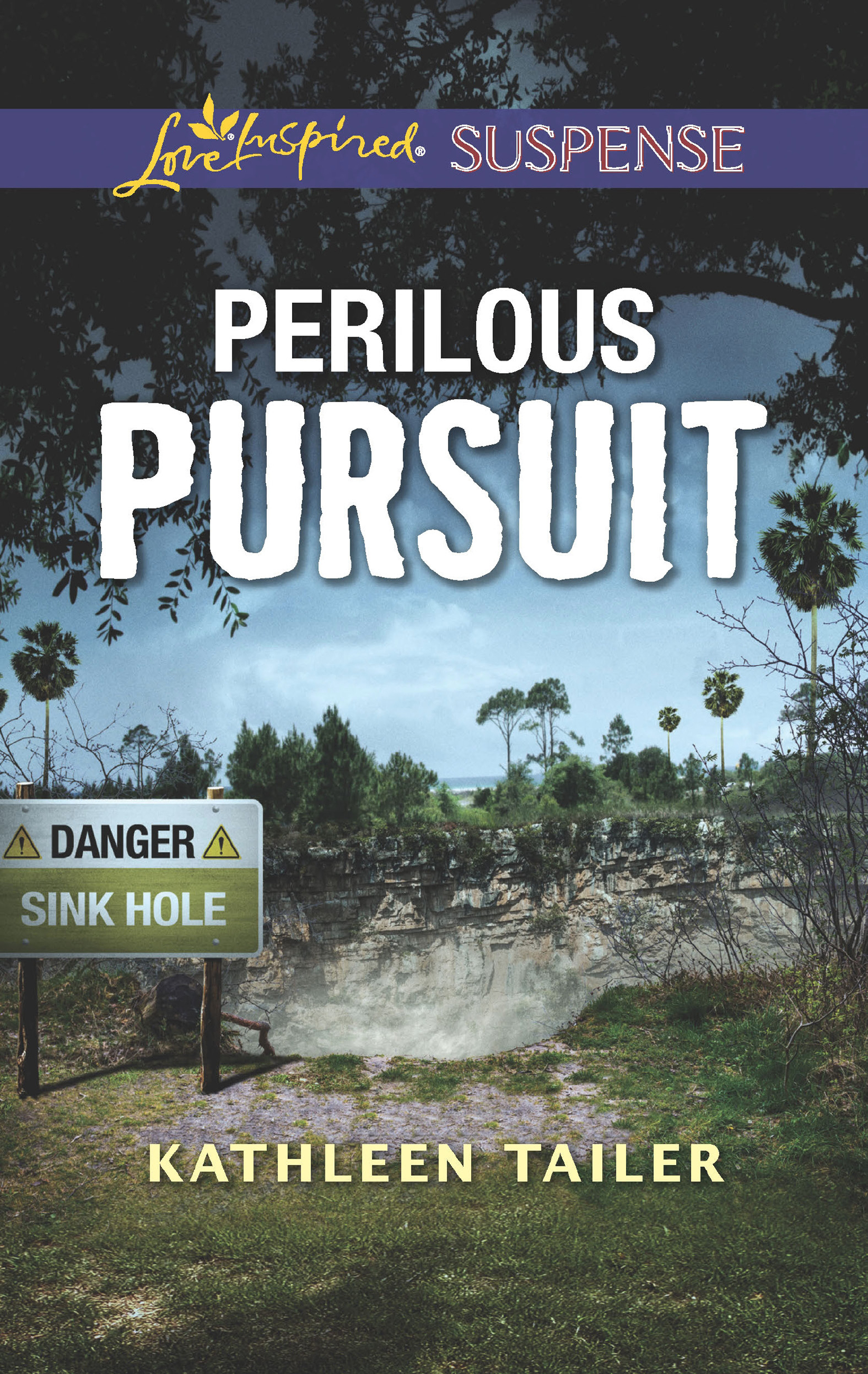 Обложка книги «Perilous Pursuit»